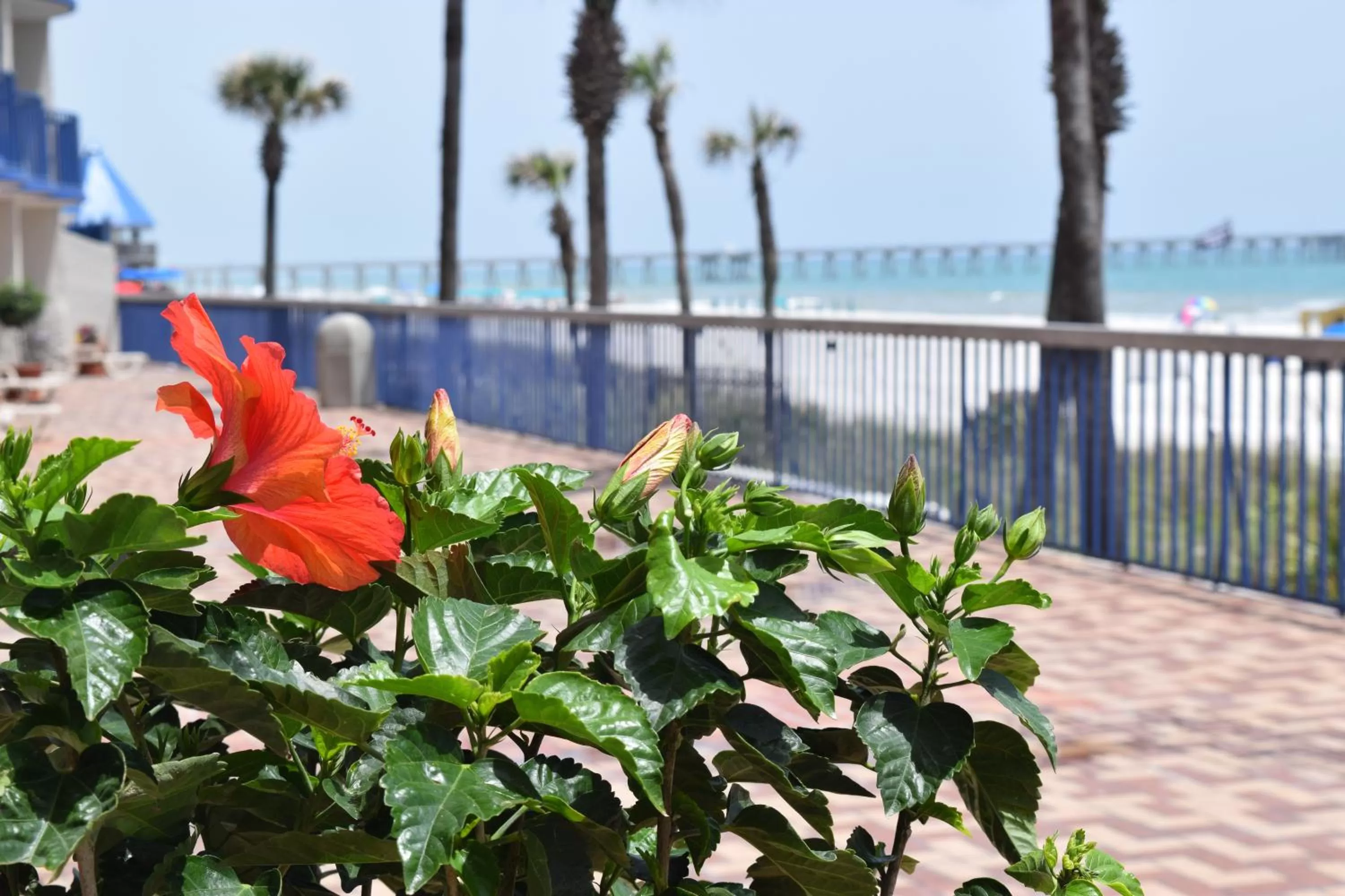 Balcony/Terrace in Days Inn by Wyndham Panama City Beach Beachfront Resort