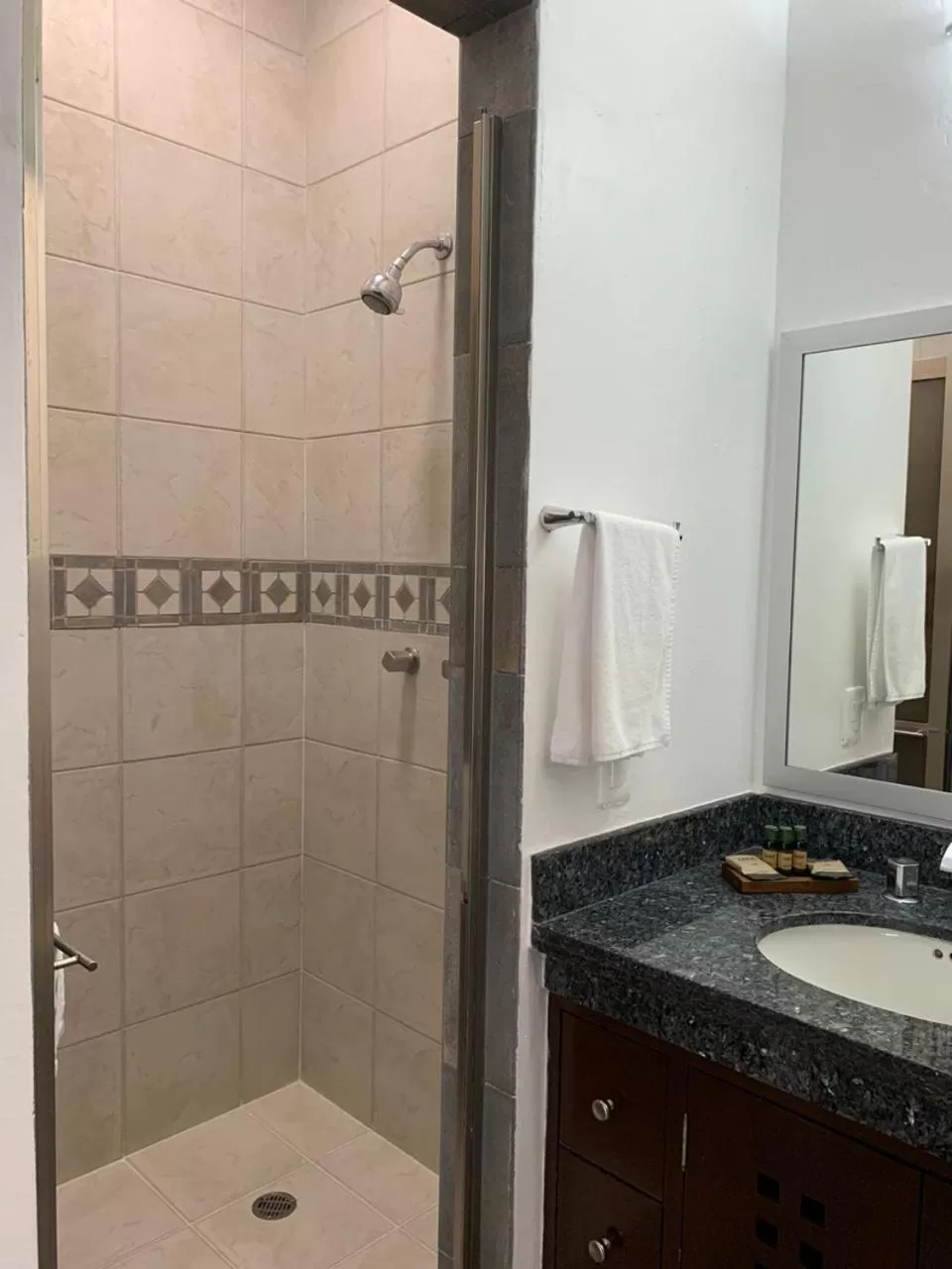 Shower, Bathroom in Dangelos Hotel on Fifth Avenue