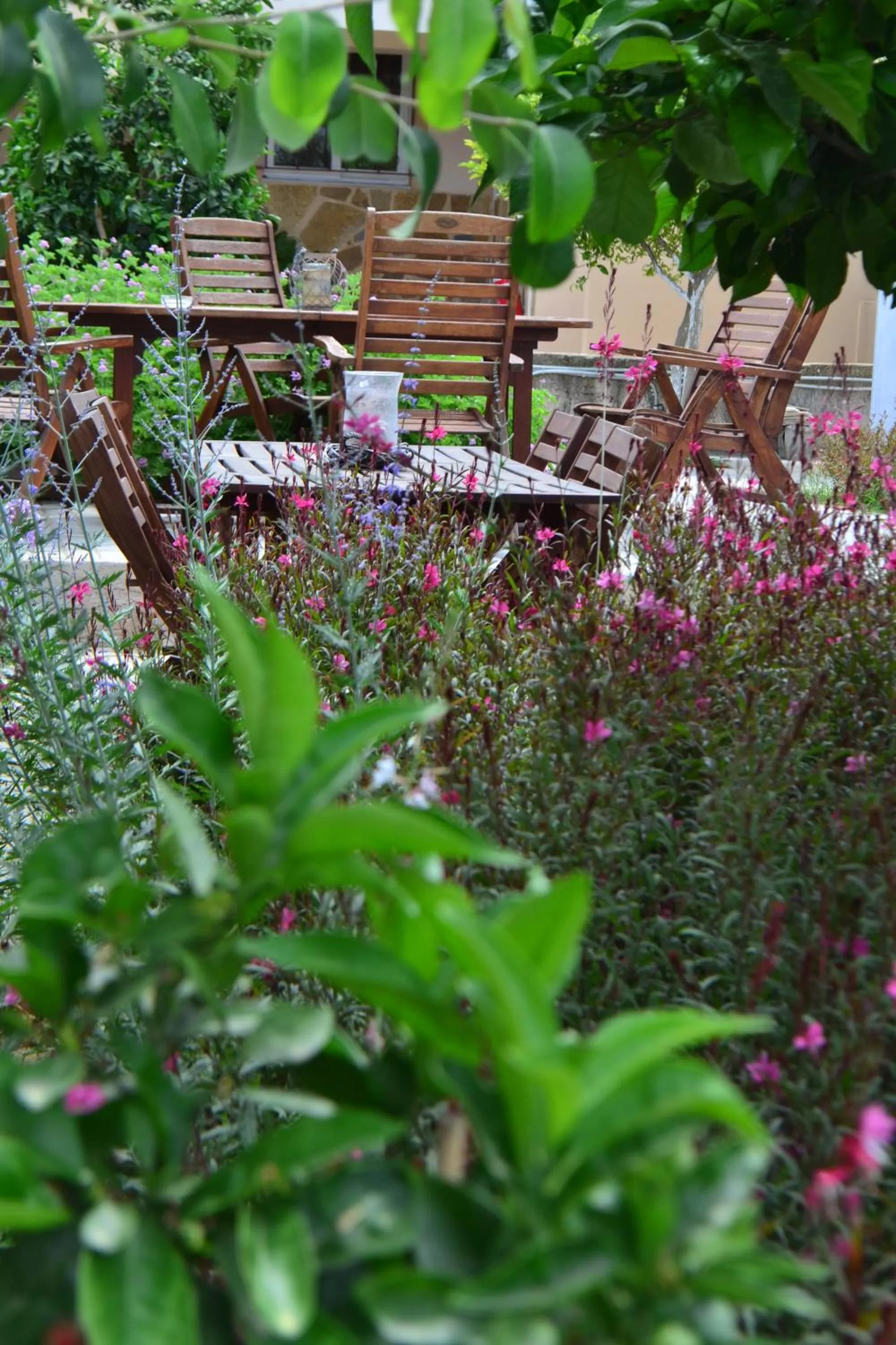 Garden view in Comfort Stay Athens Airport Hotel - FREE shuttle from and to the airport