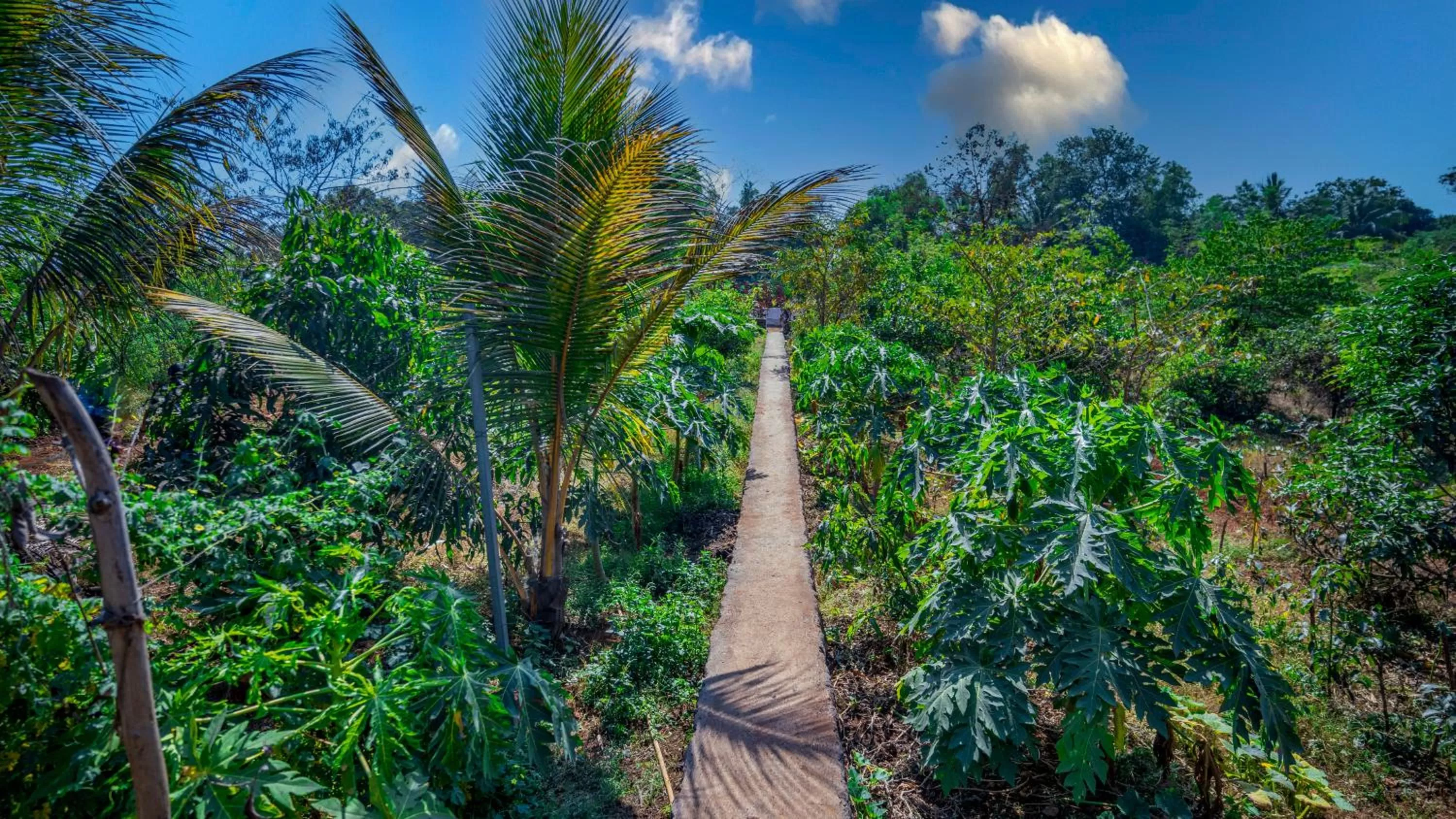 Natural landscape in Saveda Farm & Cottages