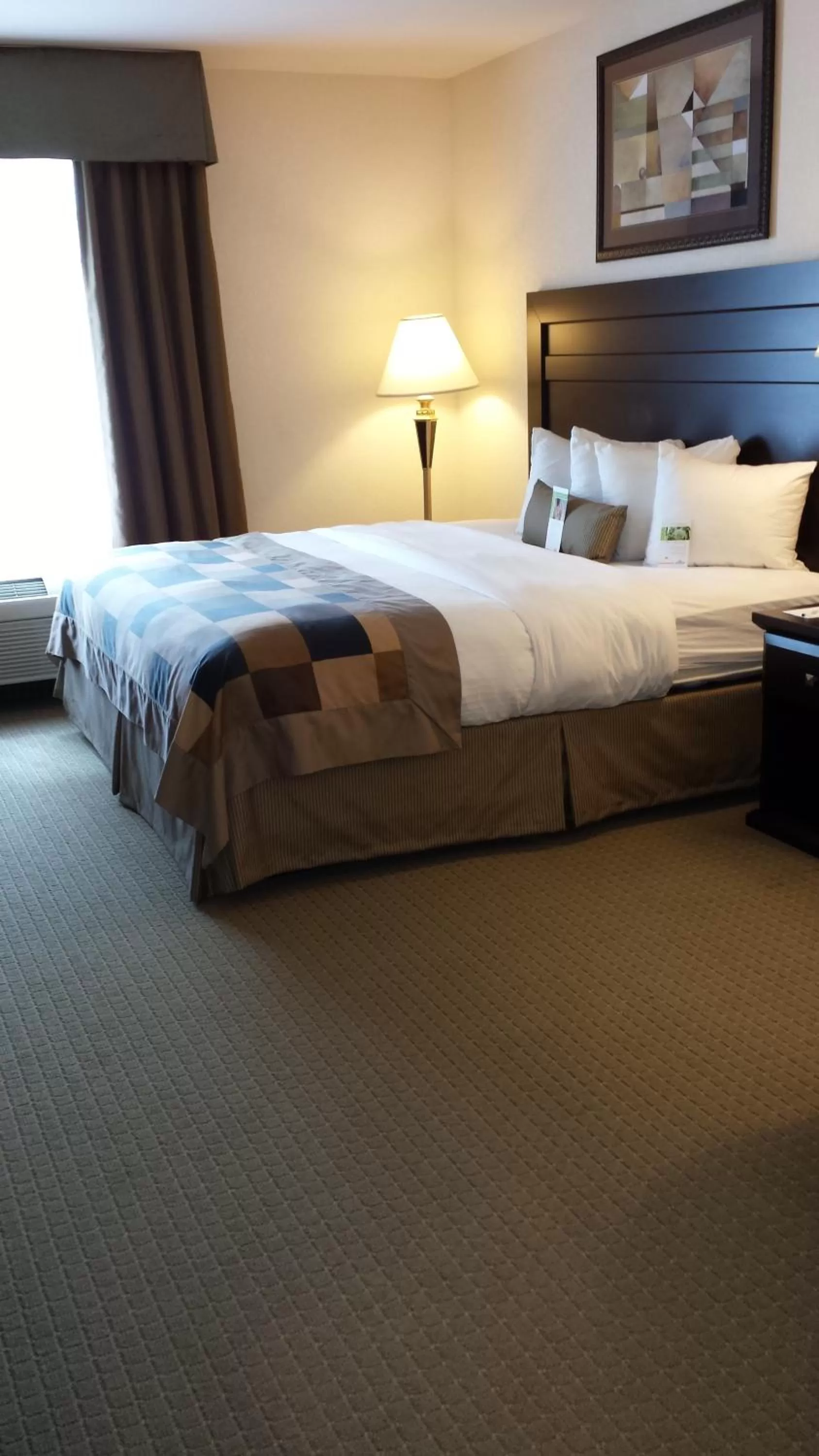 Bed in Wingate by Wyndham LaGrange