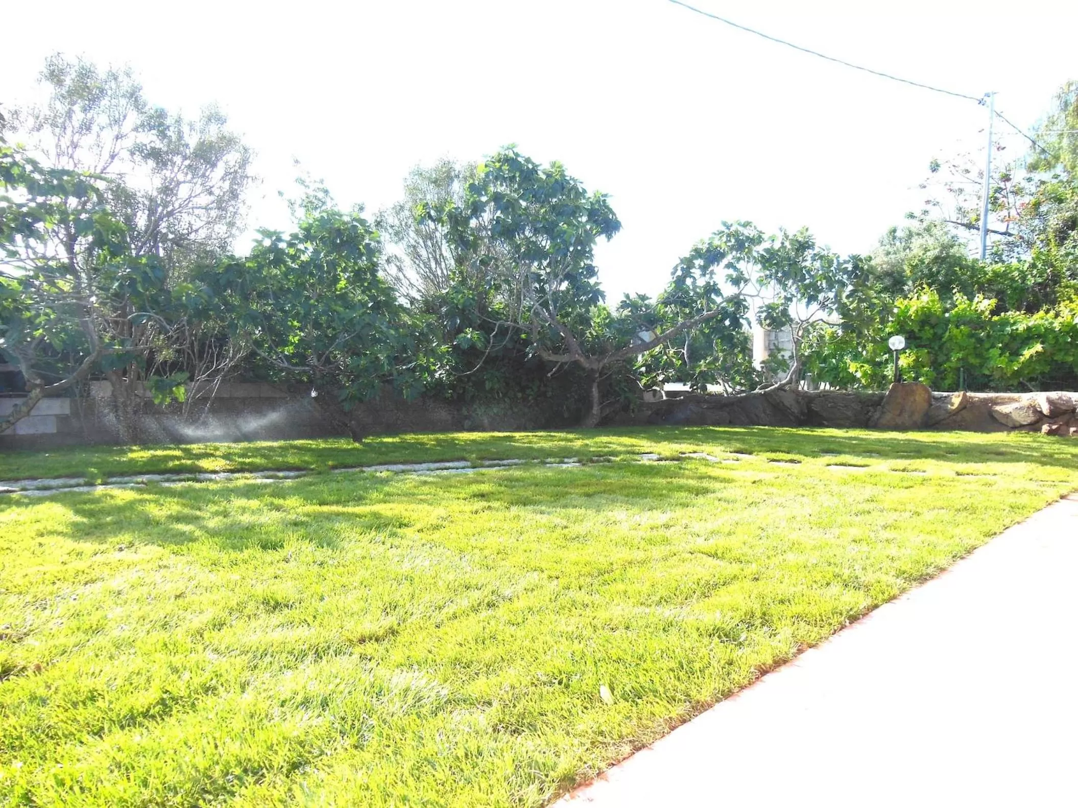 Garden in QUADRIFOGLIO Affittacamere