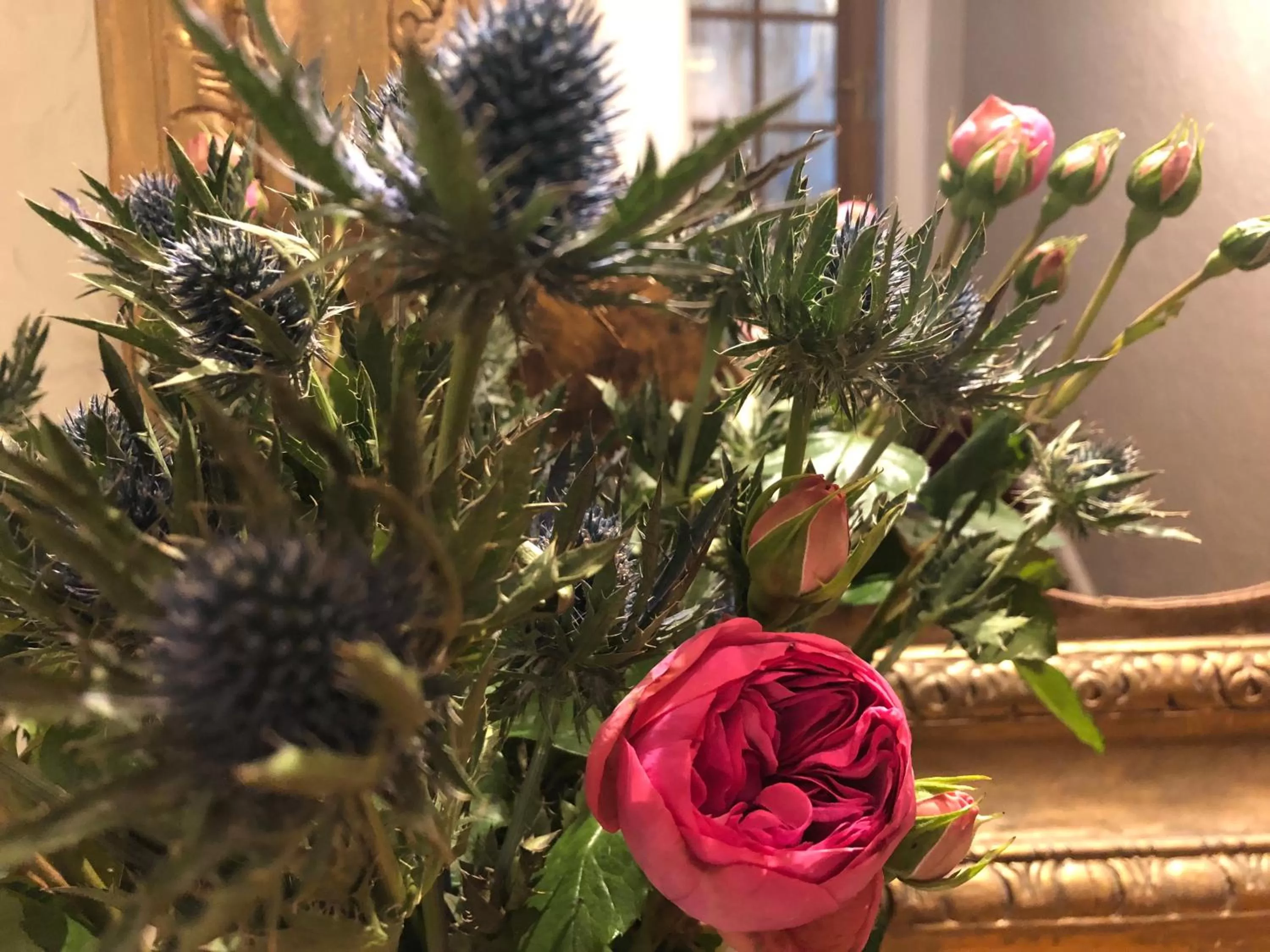 Property building in Castle Walk Bed & Breakfast