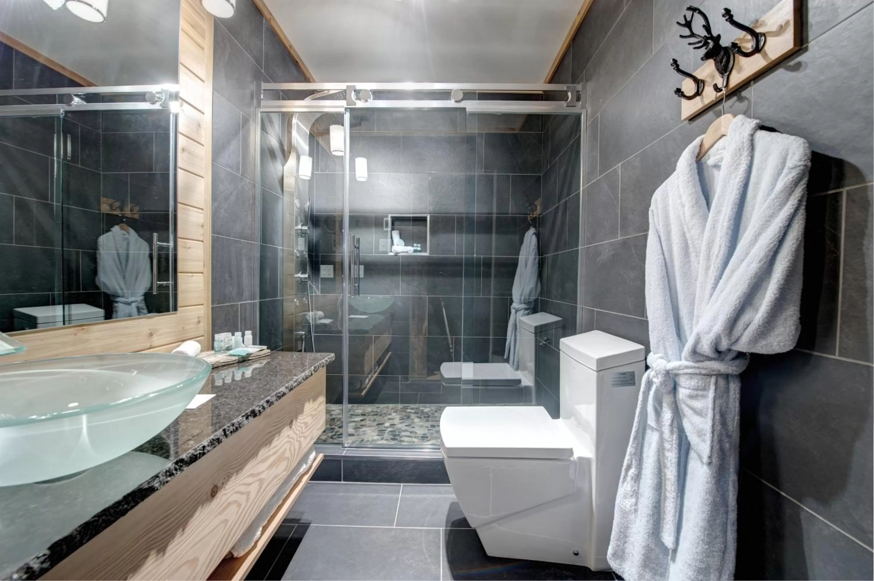 Bathroom in Auberge le Cosy Tremblant