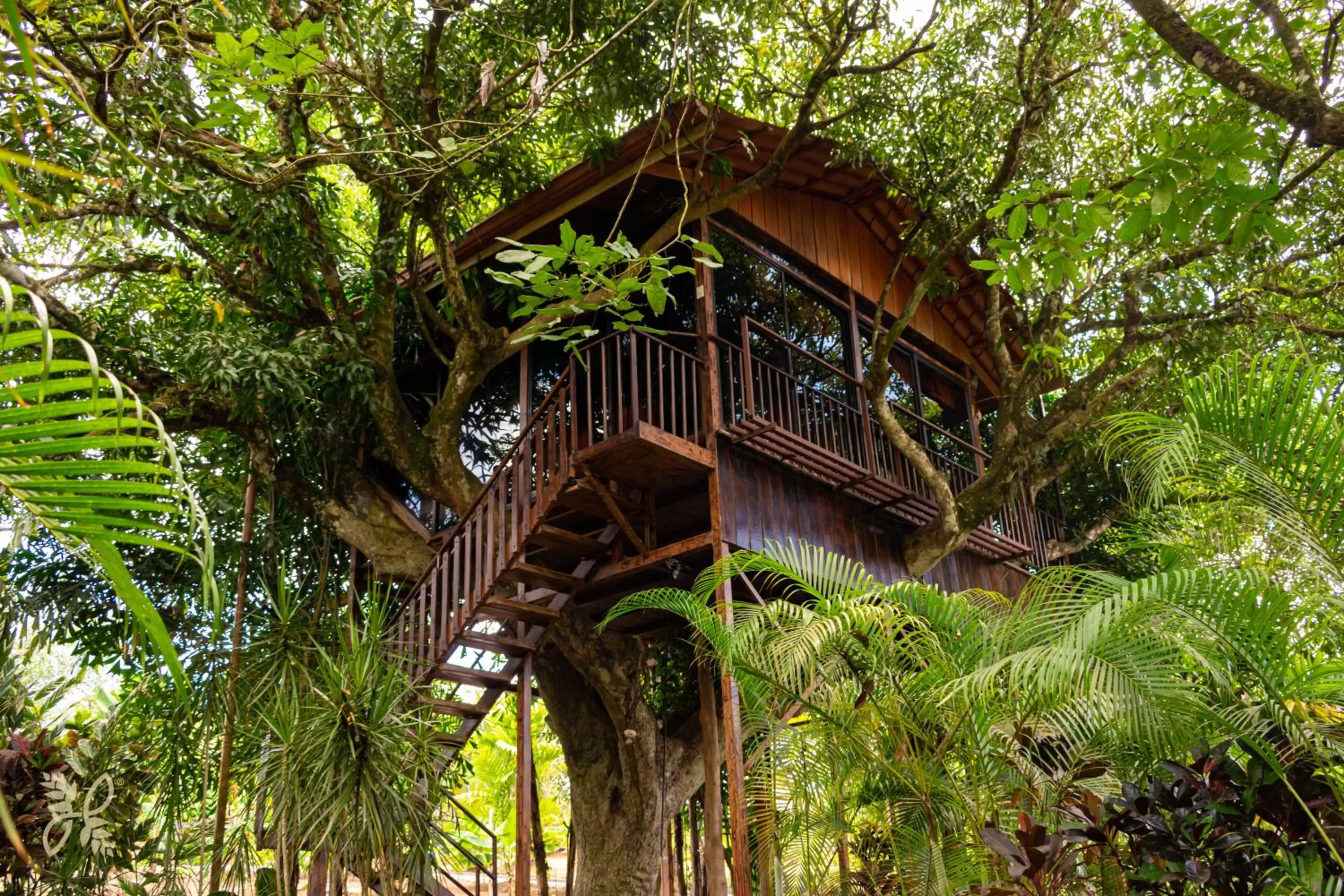 Day in Hotel Heliconias Nature Inn & Hot Springs