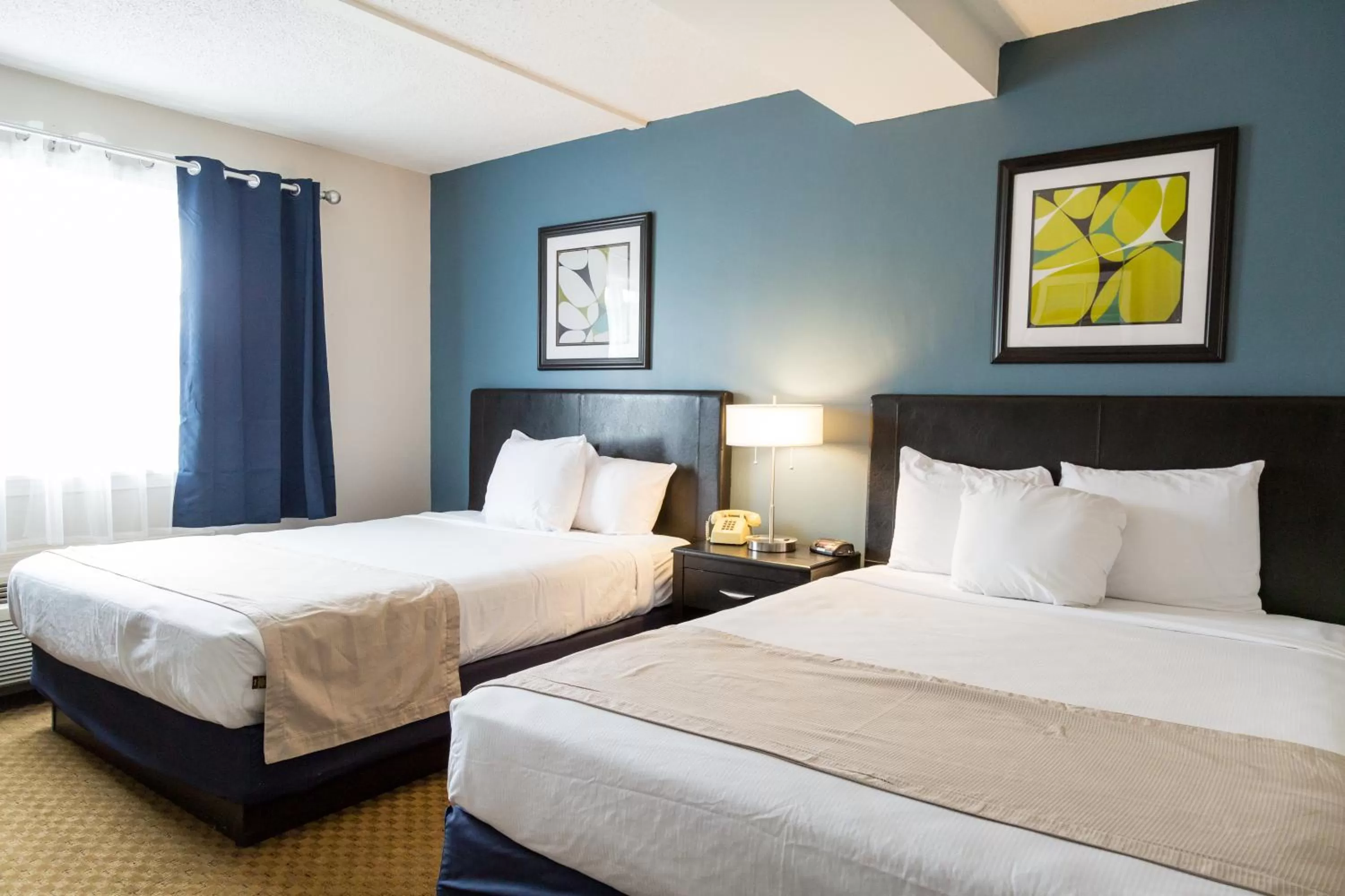 Bedroom, Bed in Quality Inn & Suites Auburn I-95