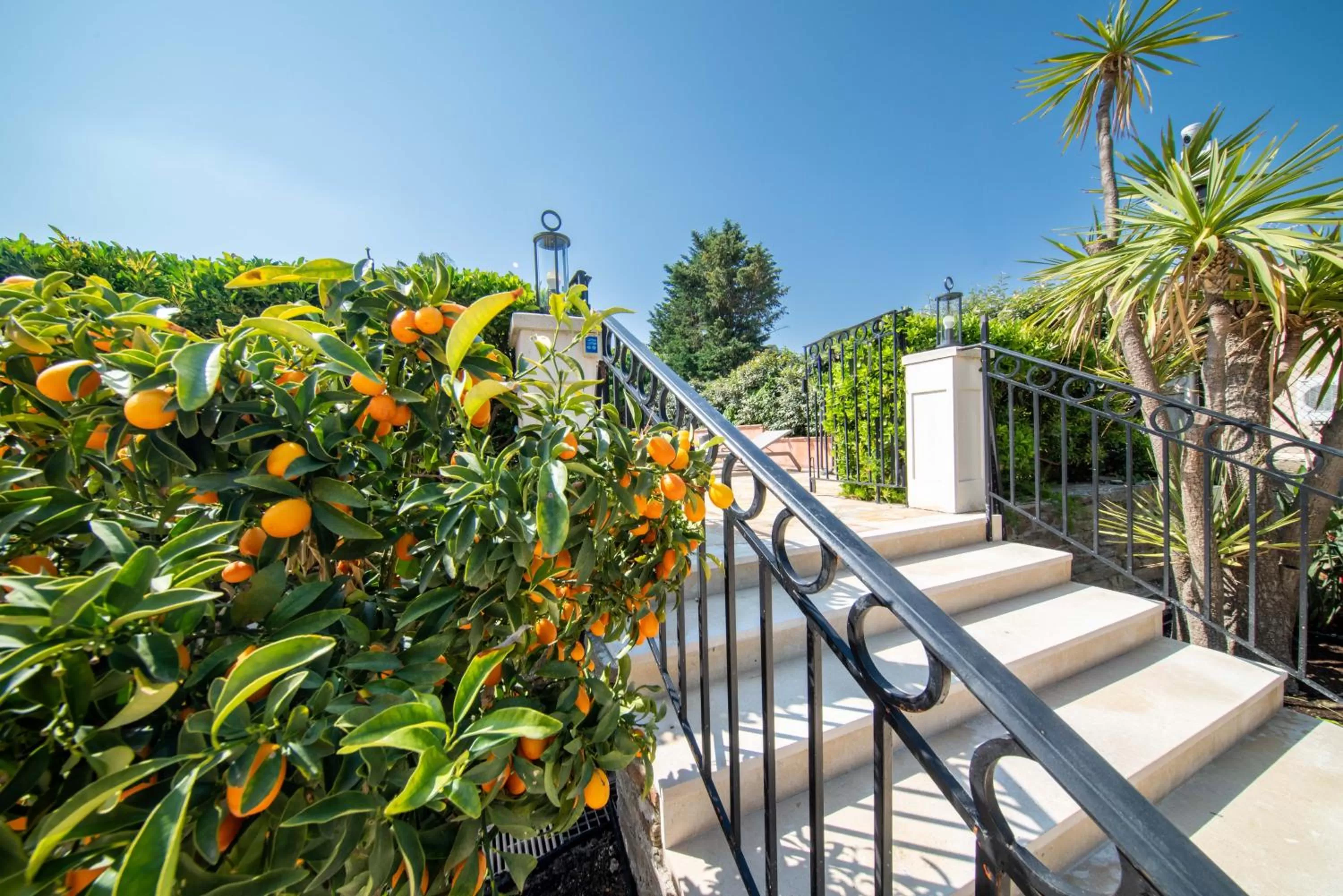 Garden in Hotel Brin d'Azur - Saint Tropez