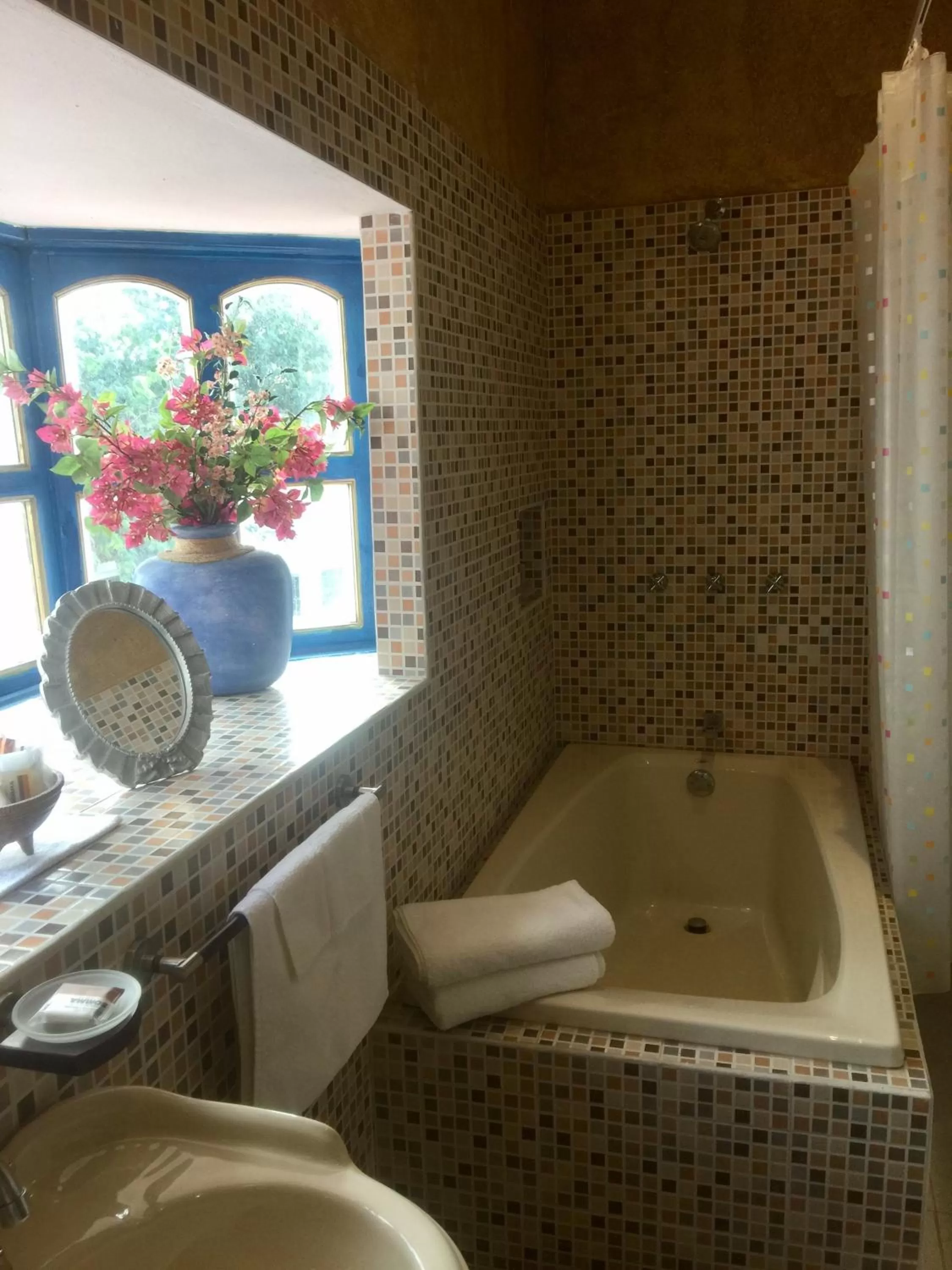 Toilet in Hacienda Boutique B&B and Spa Solo Adultos