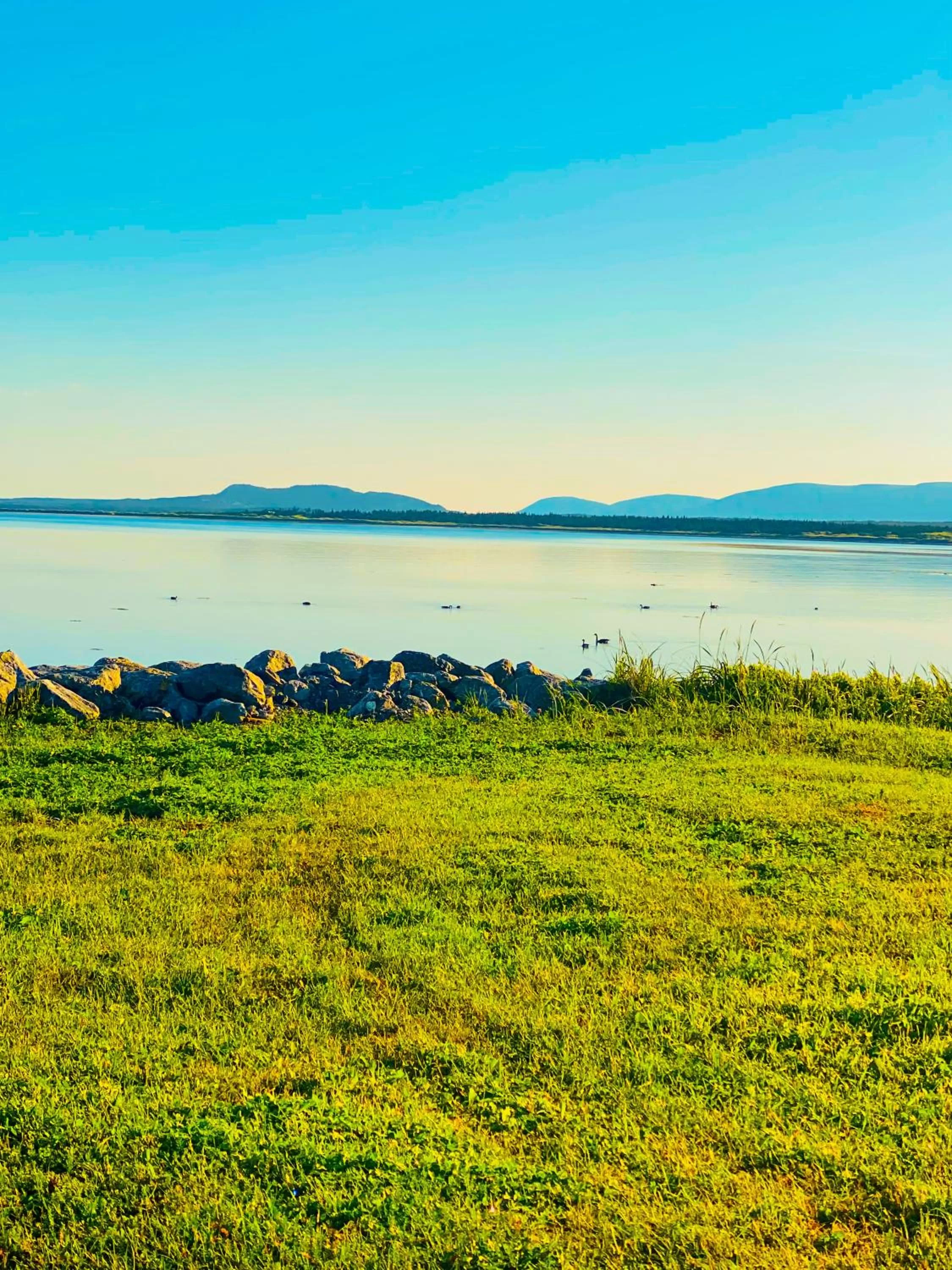 Natural Landscape in Sea Breeze Bed & Breakfast and RV Park