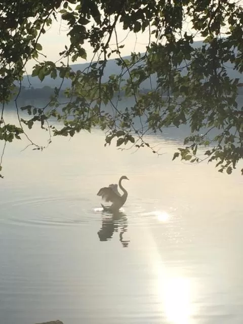 B&B Il Portico del Conte