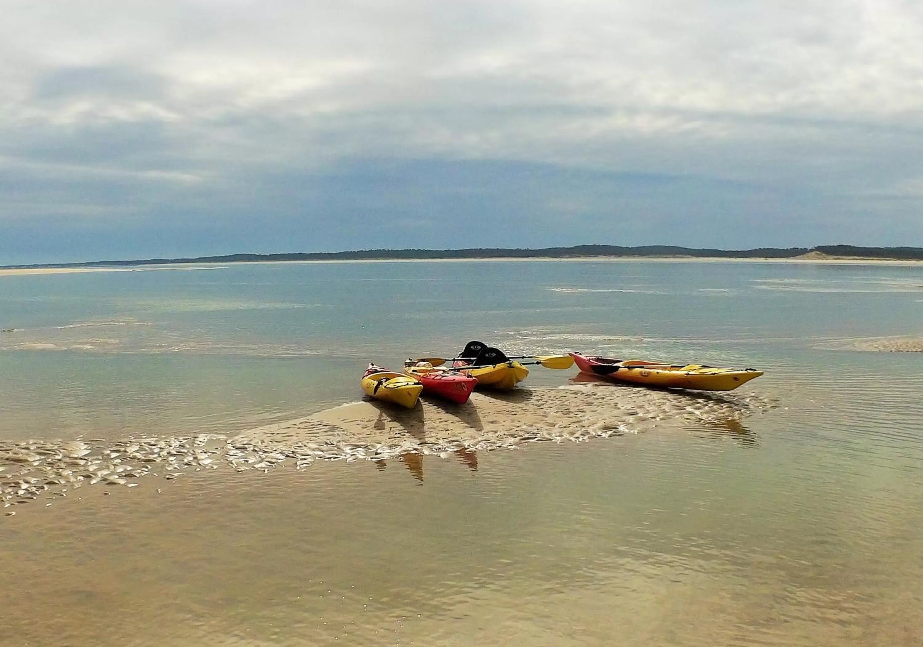 Day in Novotel Thalassa Ile d'Oléron