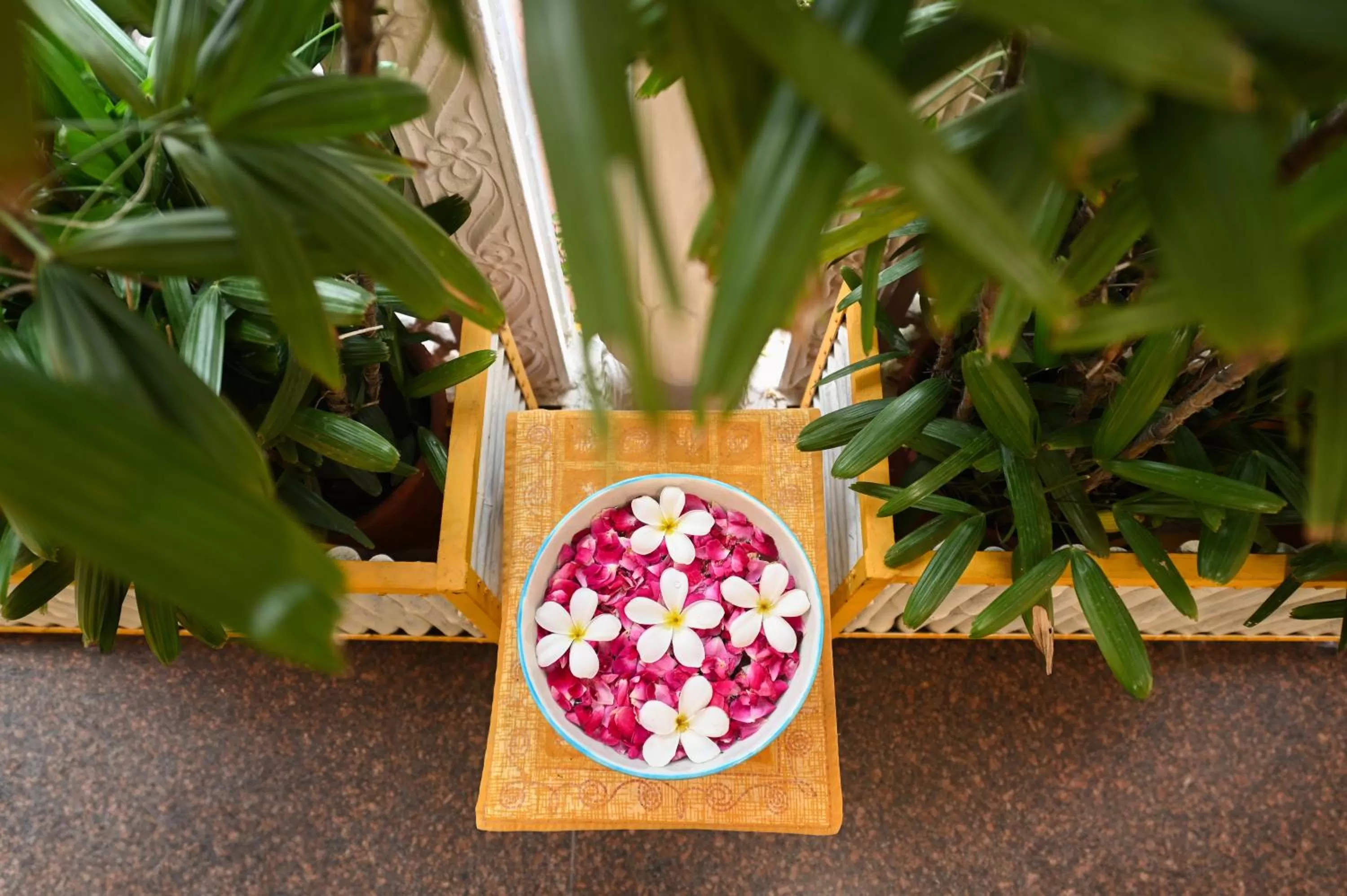 Property building in Chitra Katha - A Story Per Stay