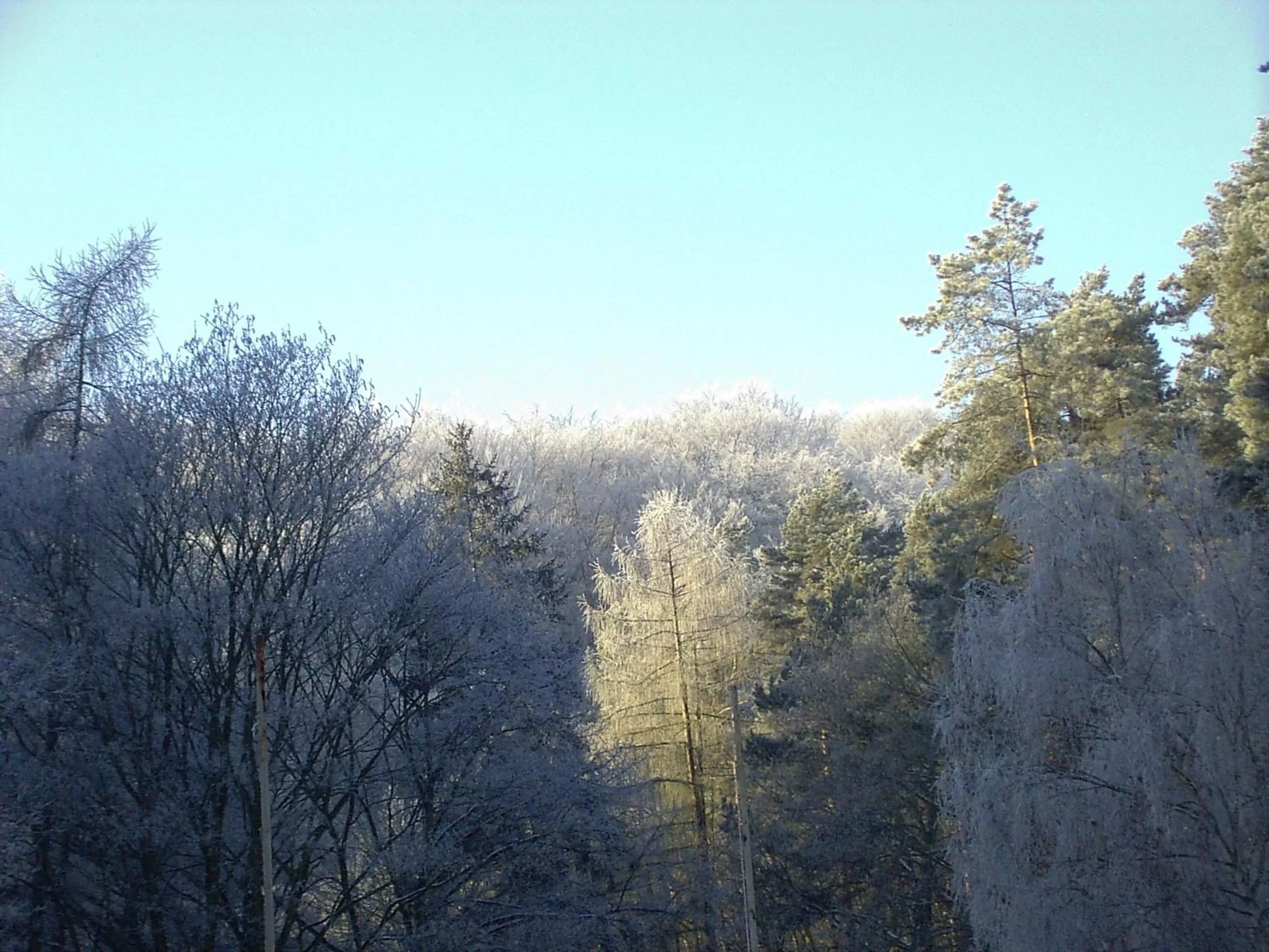 Natural landscape in Waldgaststätte Sennhütte