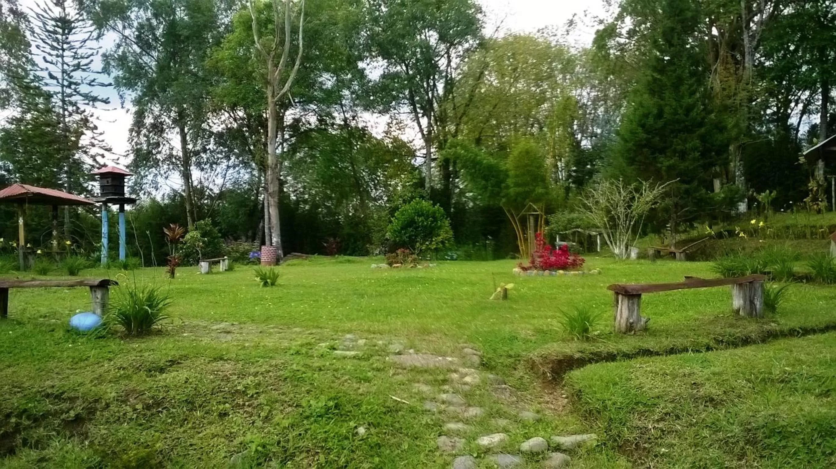 Garden in La Gaviota BnB