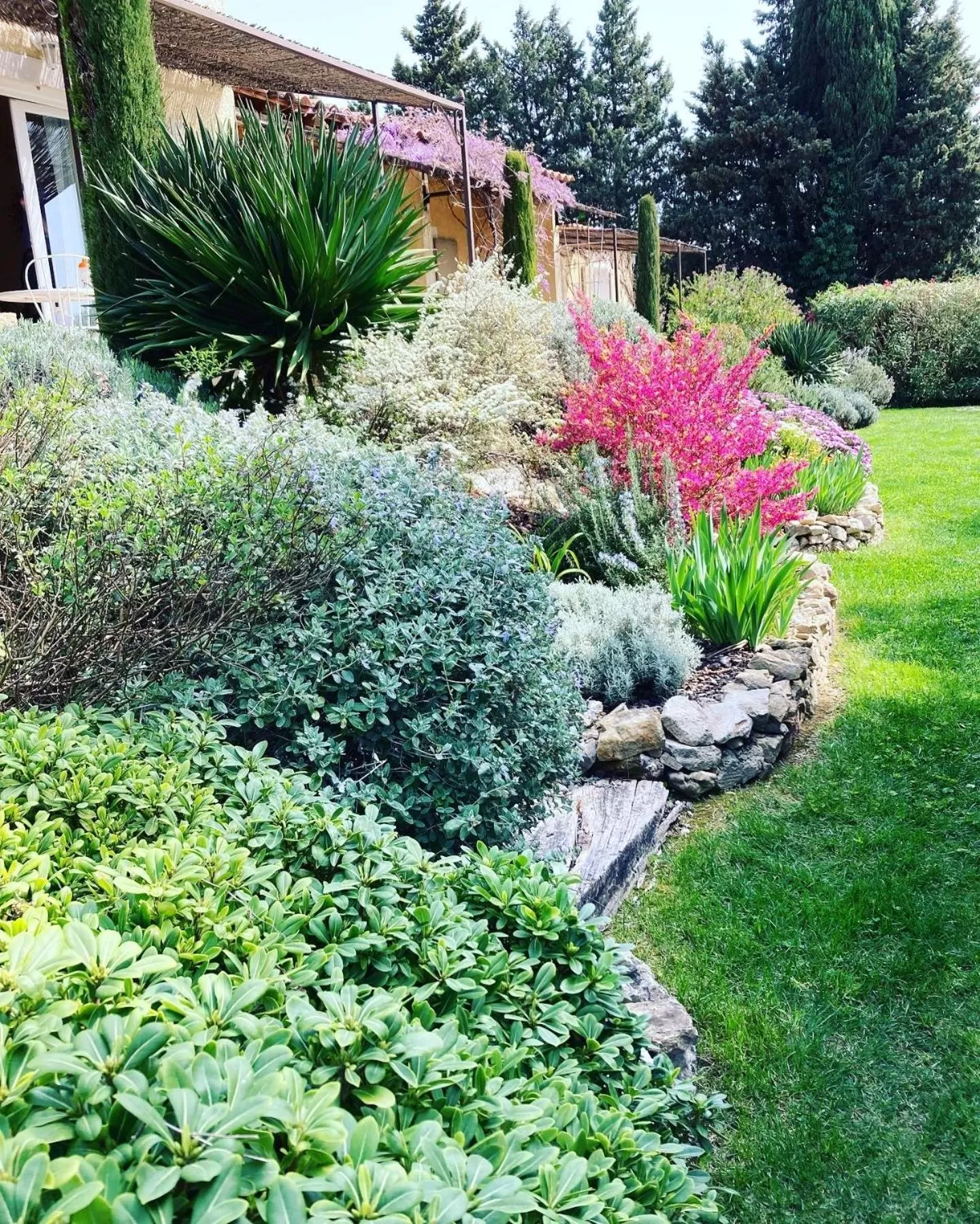 Garden in Mas des Marguerites
