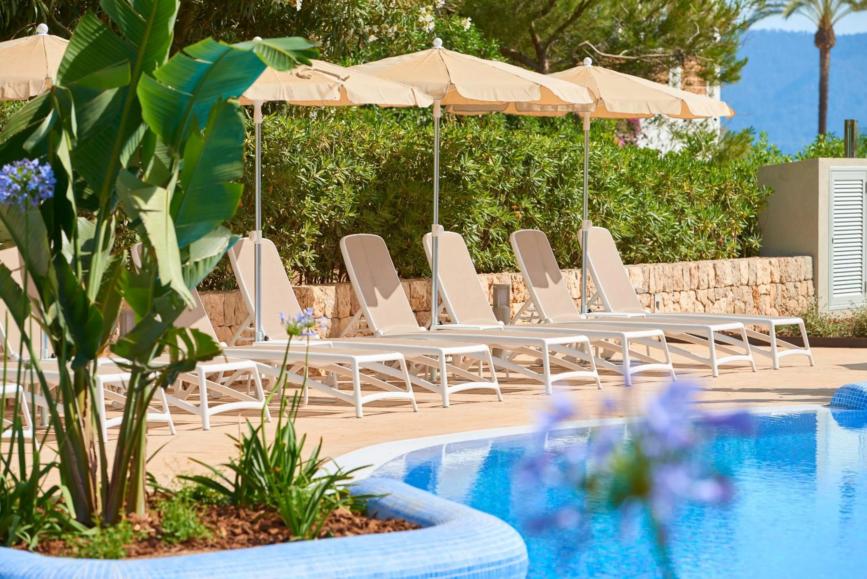 Garden in Hipotels Bahia Cala Millor - Adults Only