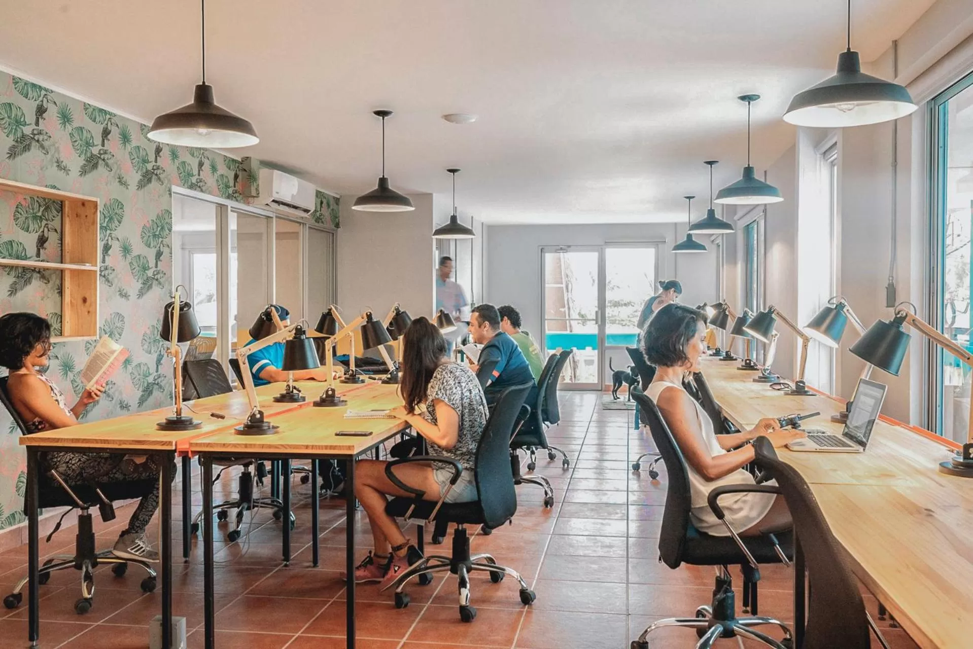 Business facilities in Selina Jaco