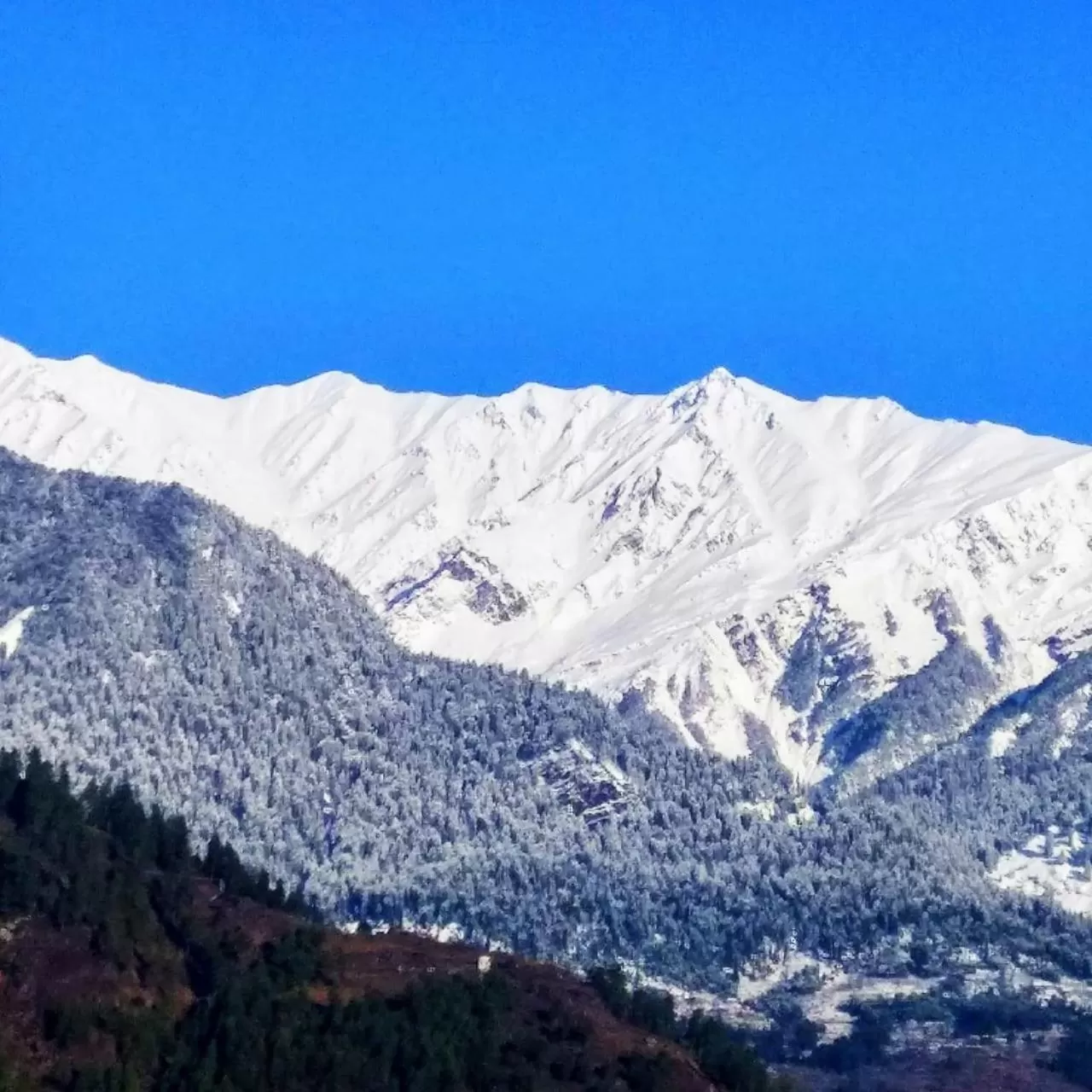 Natural landscape in Soham's Chateau De Naggar - Manali