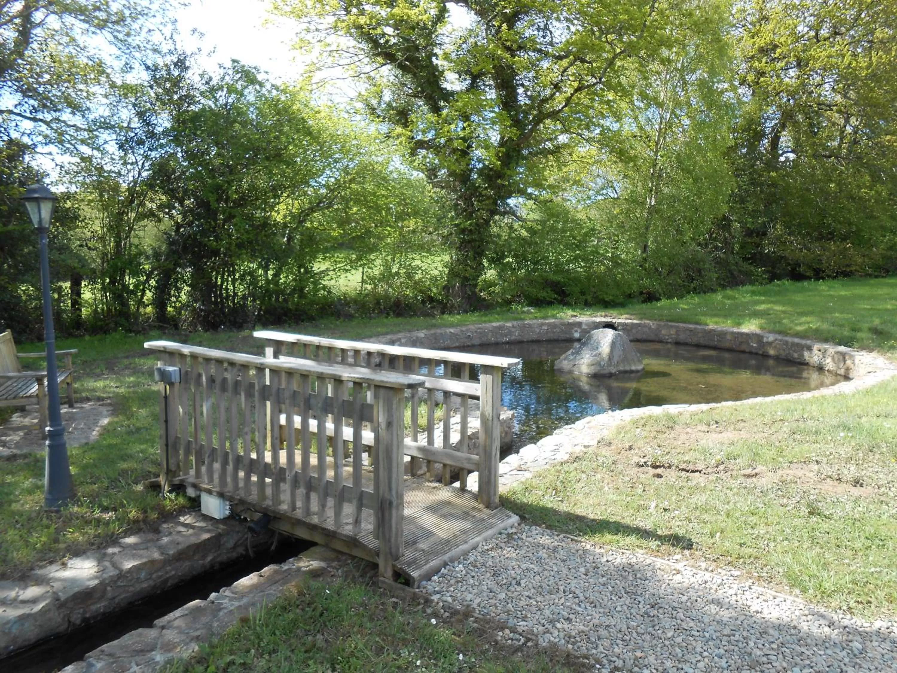 Garden in Birchdale House B&B