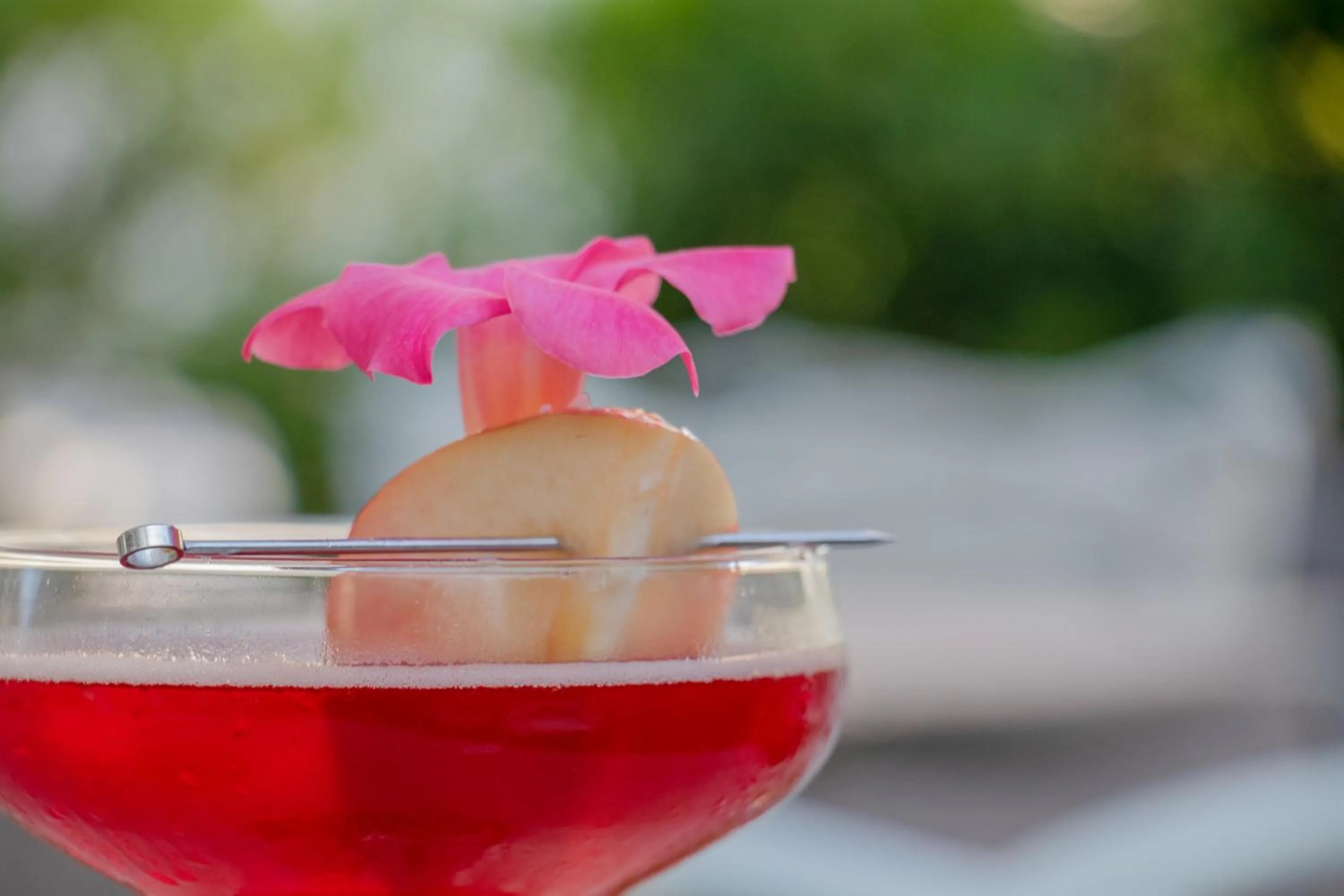 Garden in Hotel Due Mari & SPA