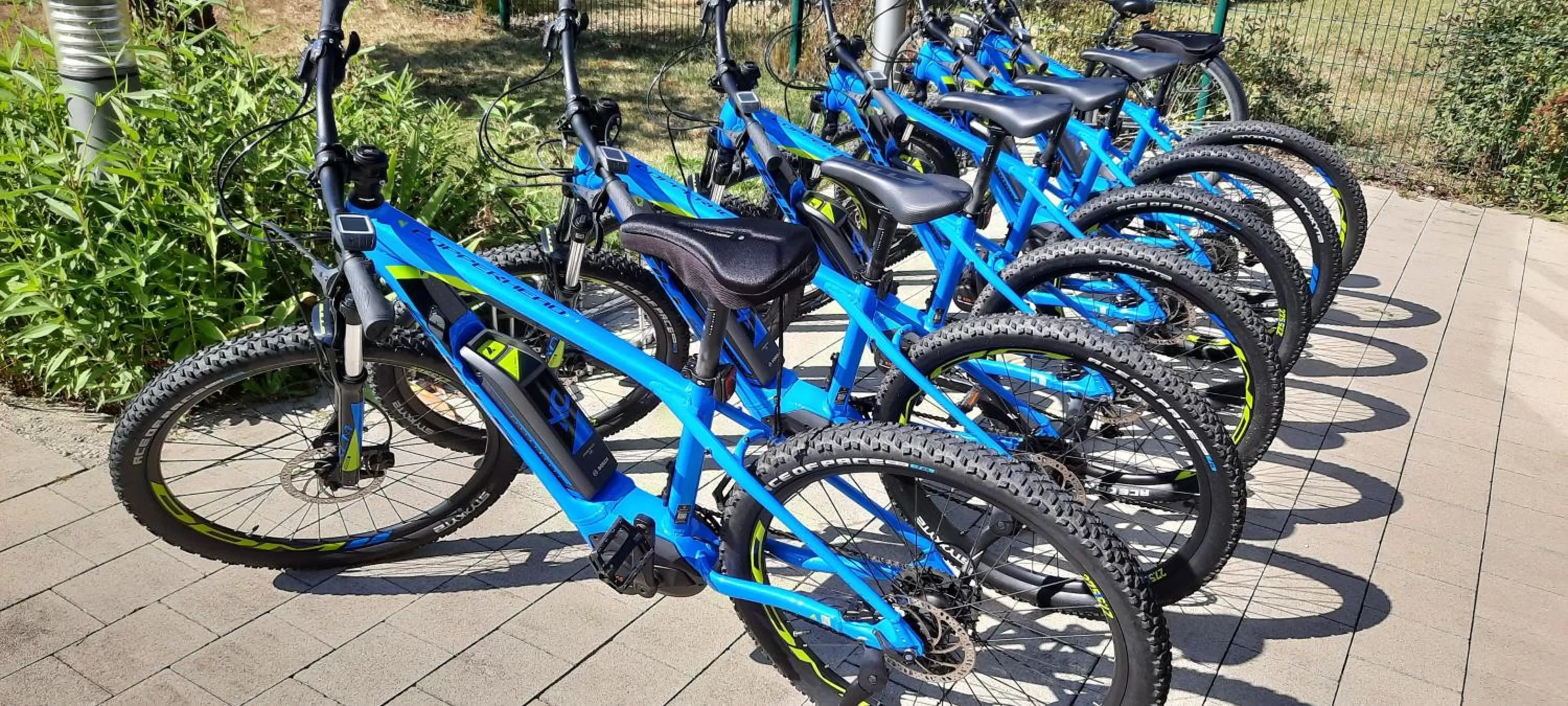 Activities in Résidence Les Rives de la Fecht - Colmar Ouest