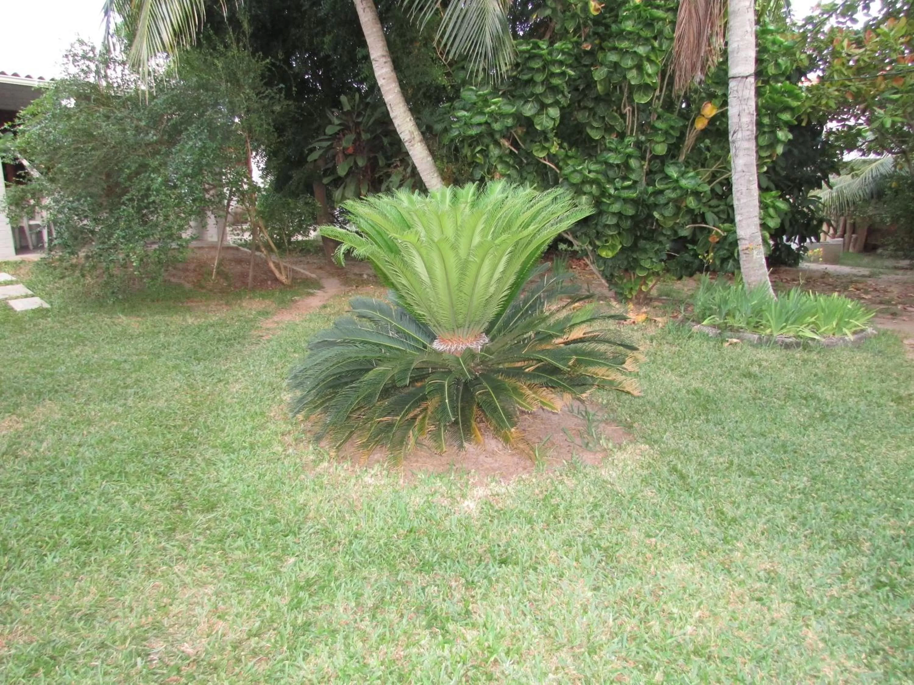 Garden in Pousada Ipitanga IV