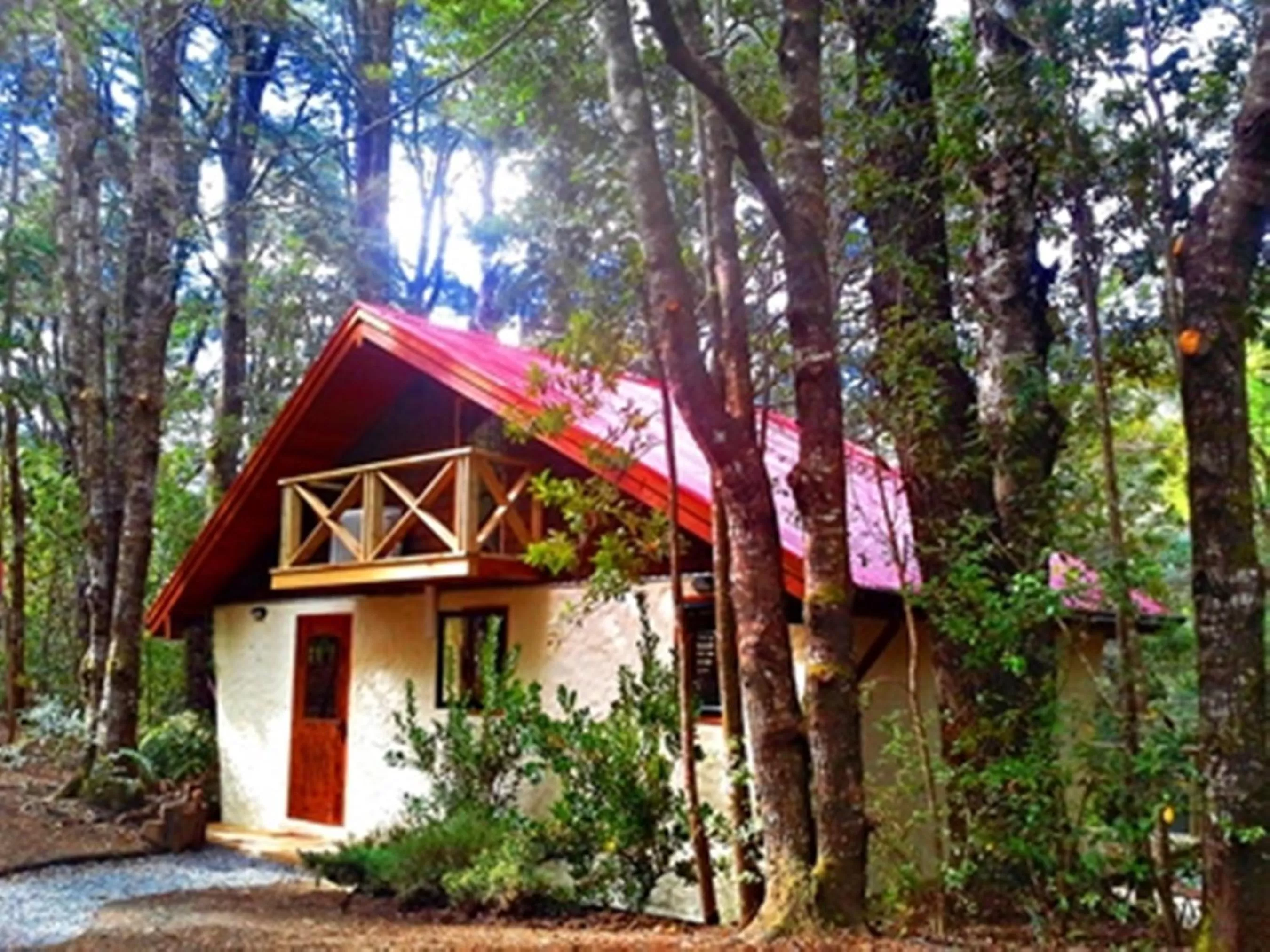Photo of the whole room, Property Building in Hotel Salto del Carileufu