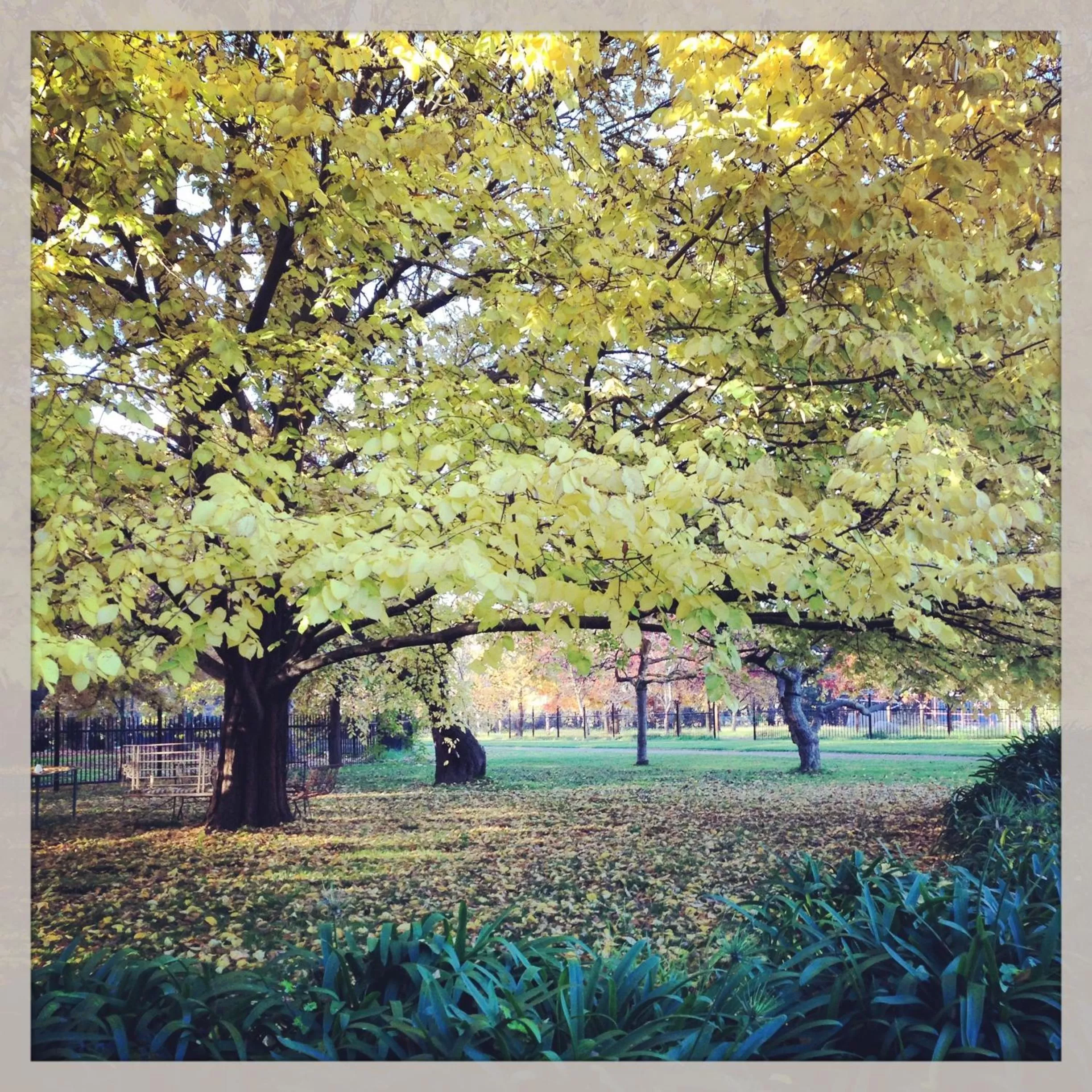 Historic Merryville Homestead