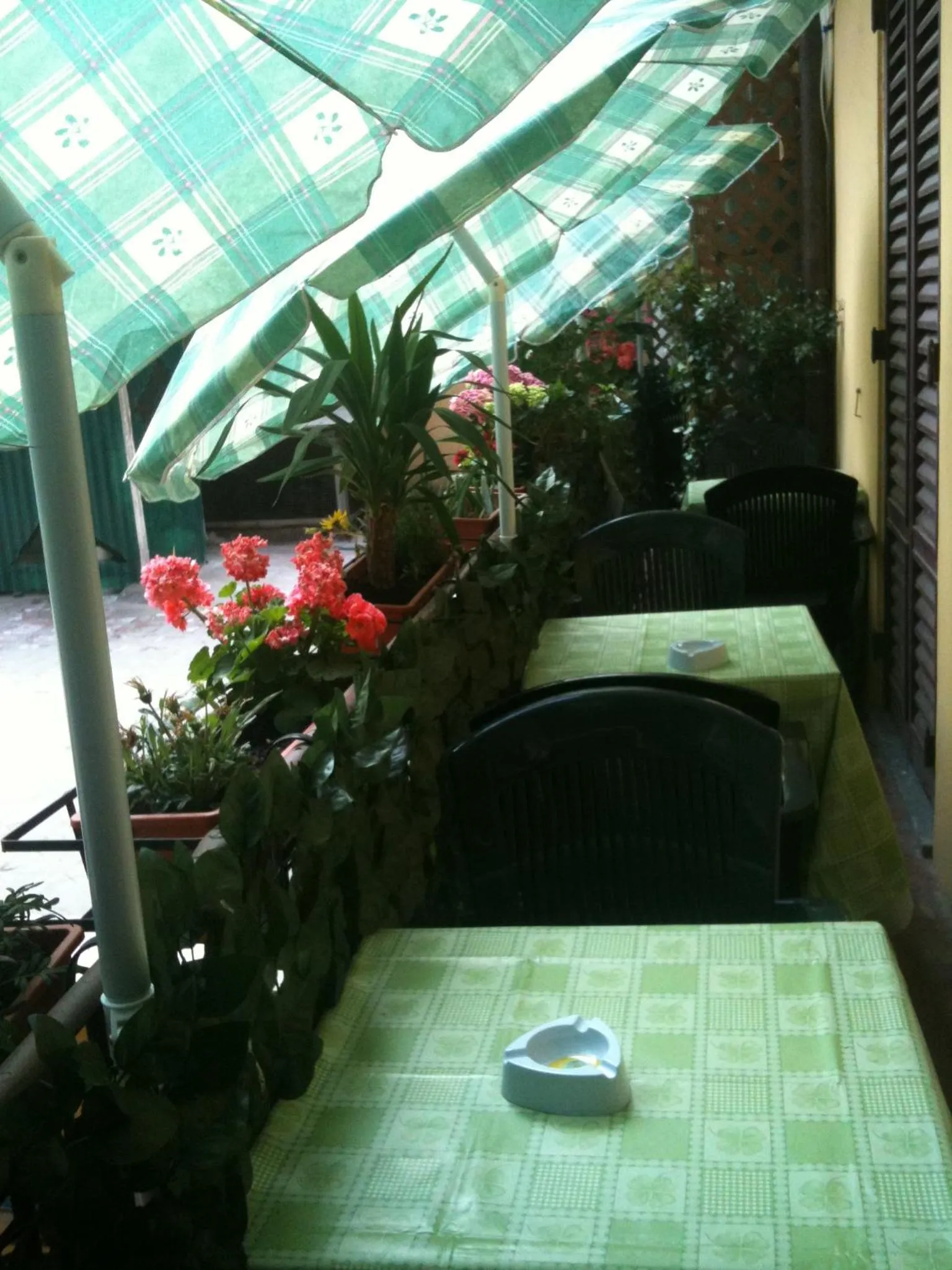 Garden in Legend R.G.