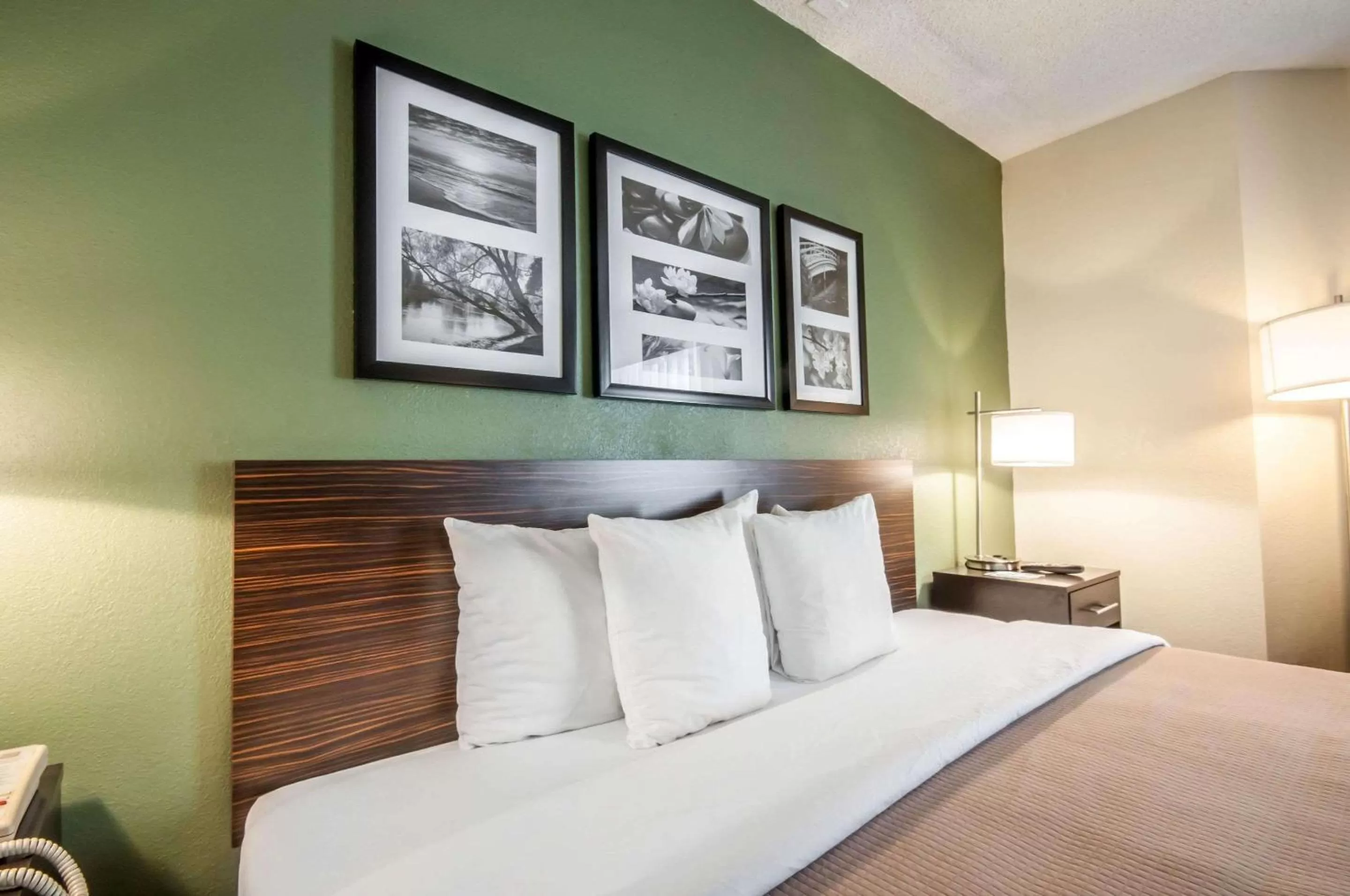 Photo of the whole room, Bed in Sleep Inn Cinnaminson - Philadelphia East