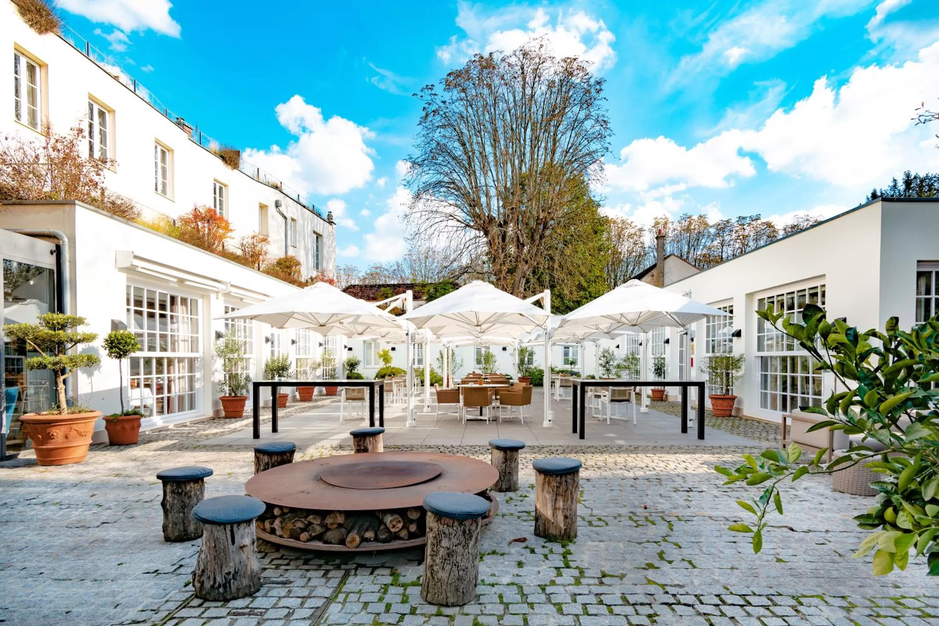 Garden in La Demeure Du Parc