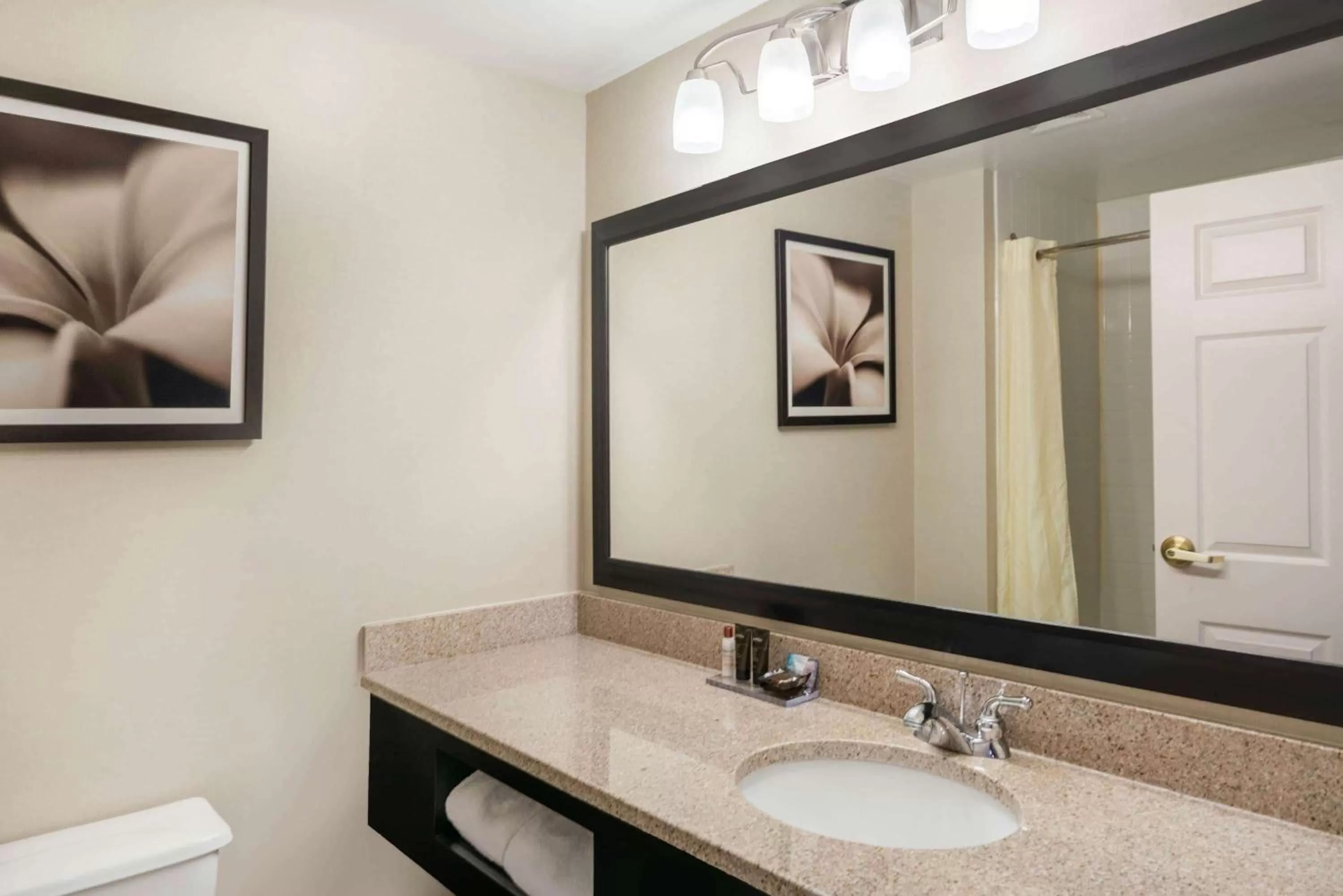 Bathroom in Wingate by Wyndham (Lexington, VA)