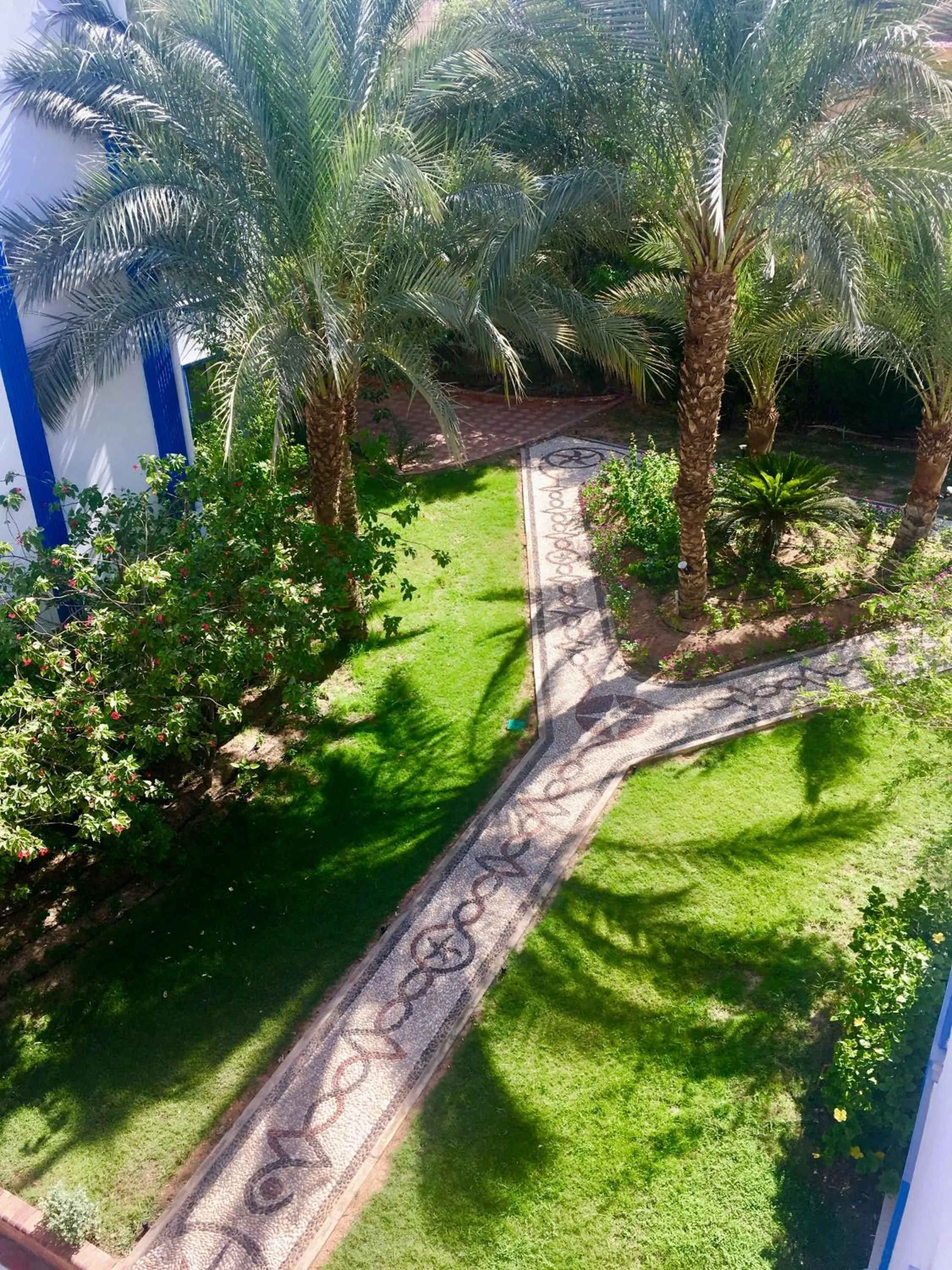 Garden in Naama Blue Hotel