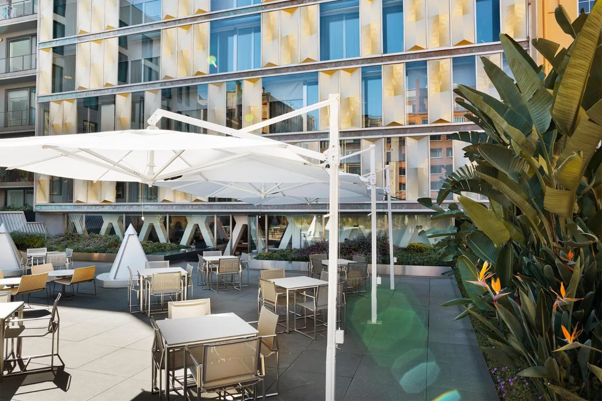 Garden in Hotel Royal Passeig de Gracia