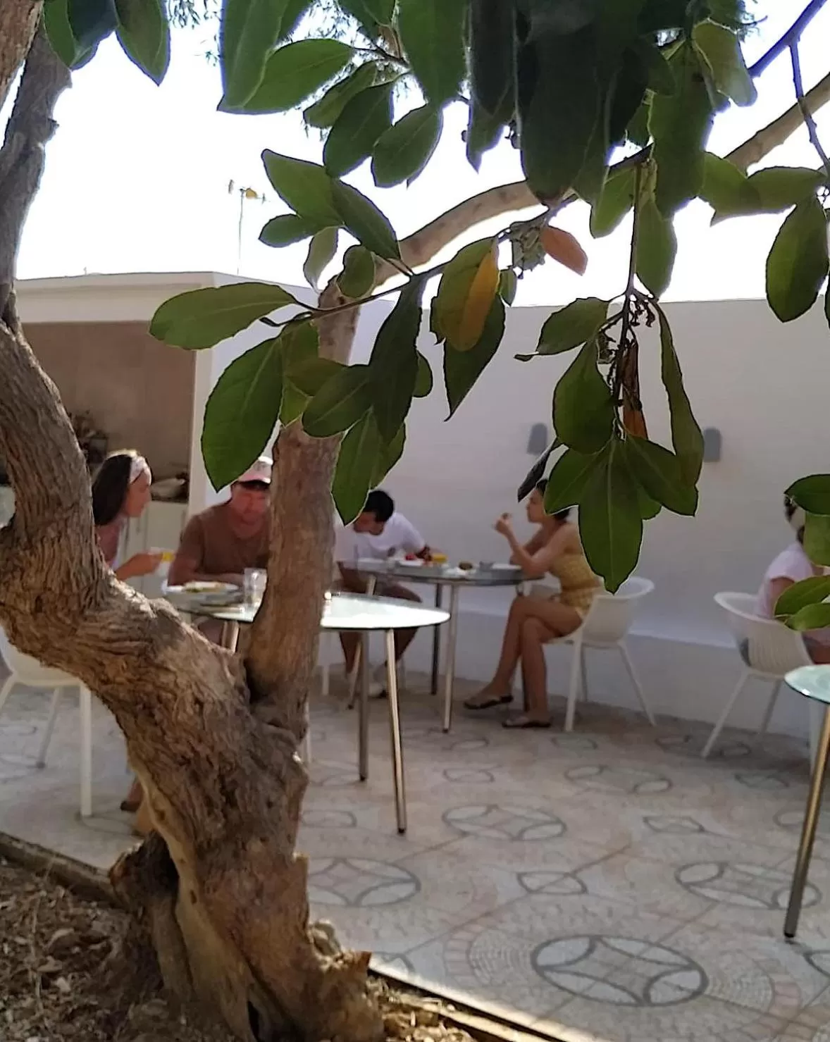 Buffet breakfast in Starbal Love