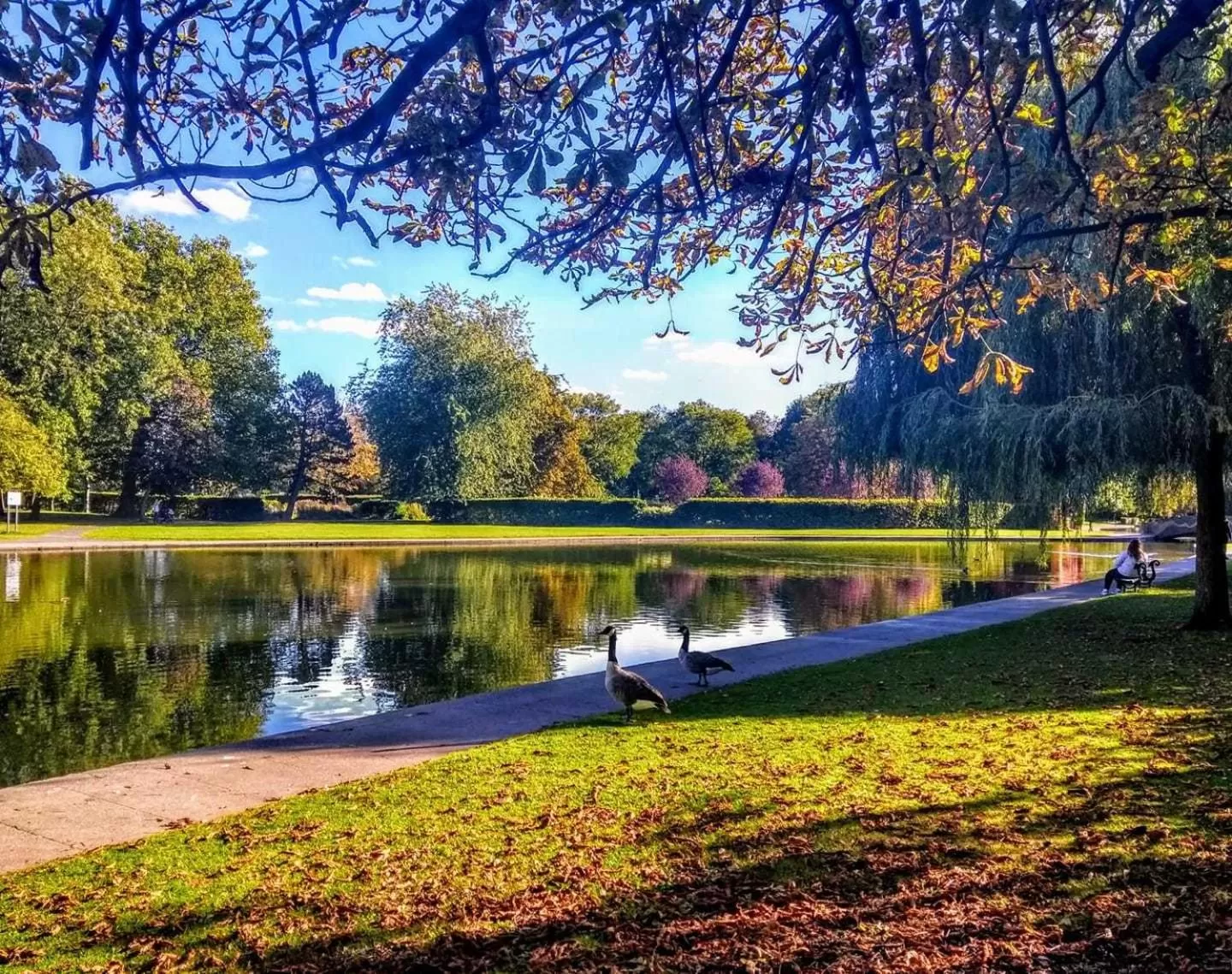 Children play ground in Novotel York Centre