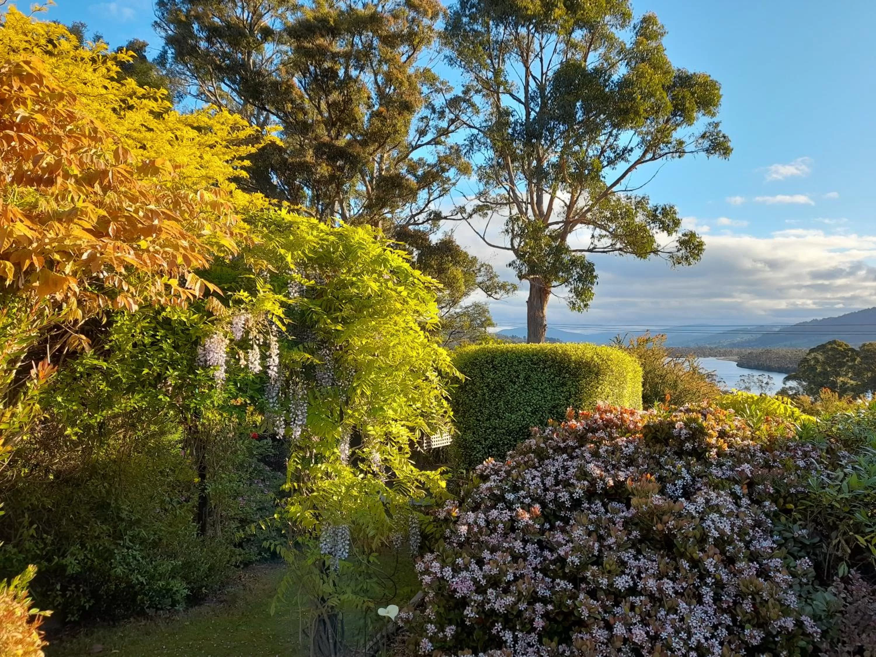 Hillside Bed and Breakfast