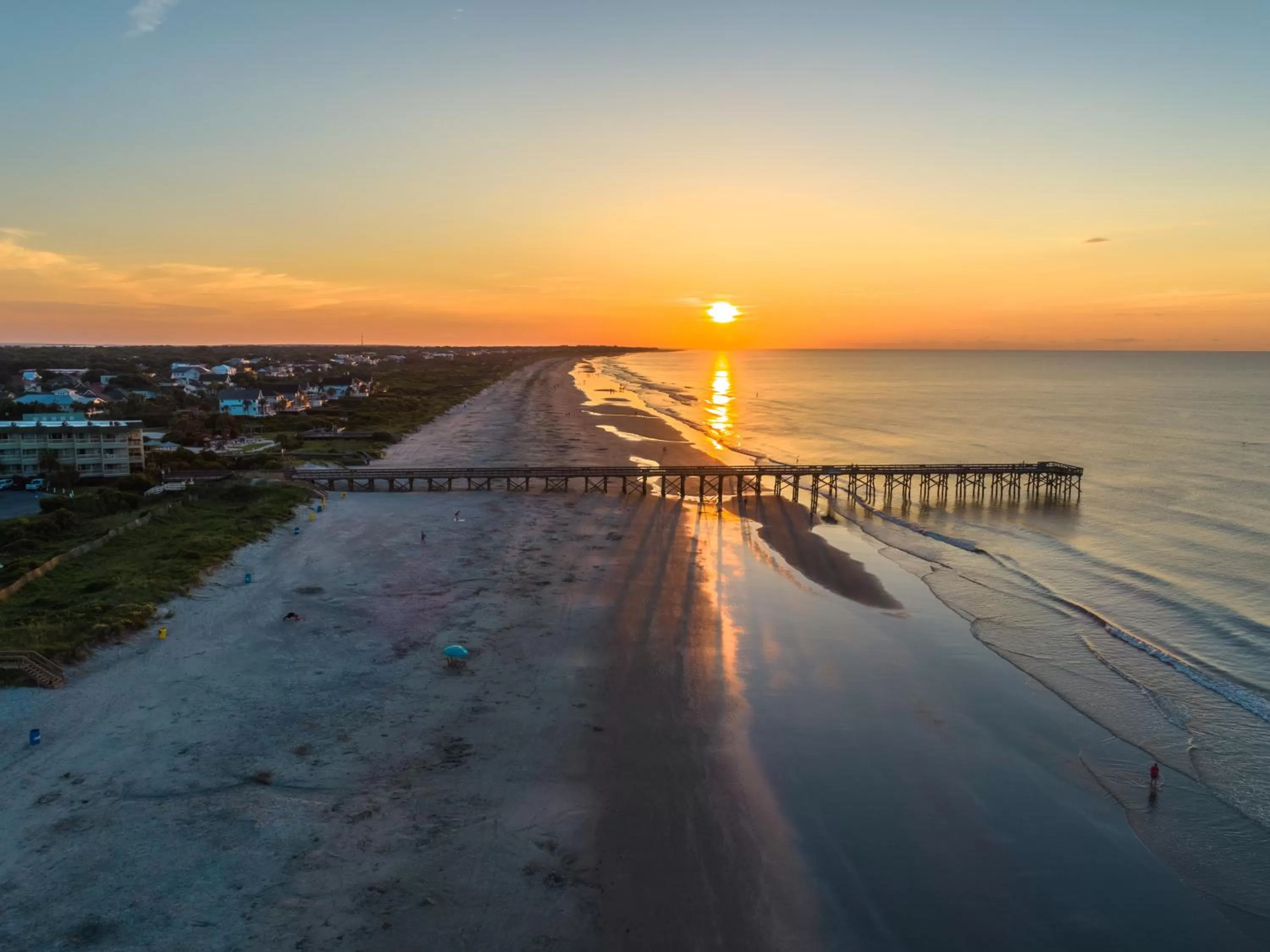 Natural landscape in The Palms Oceanfront Hotel
