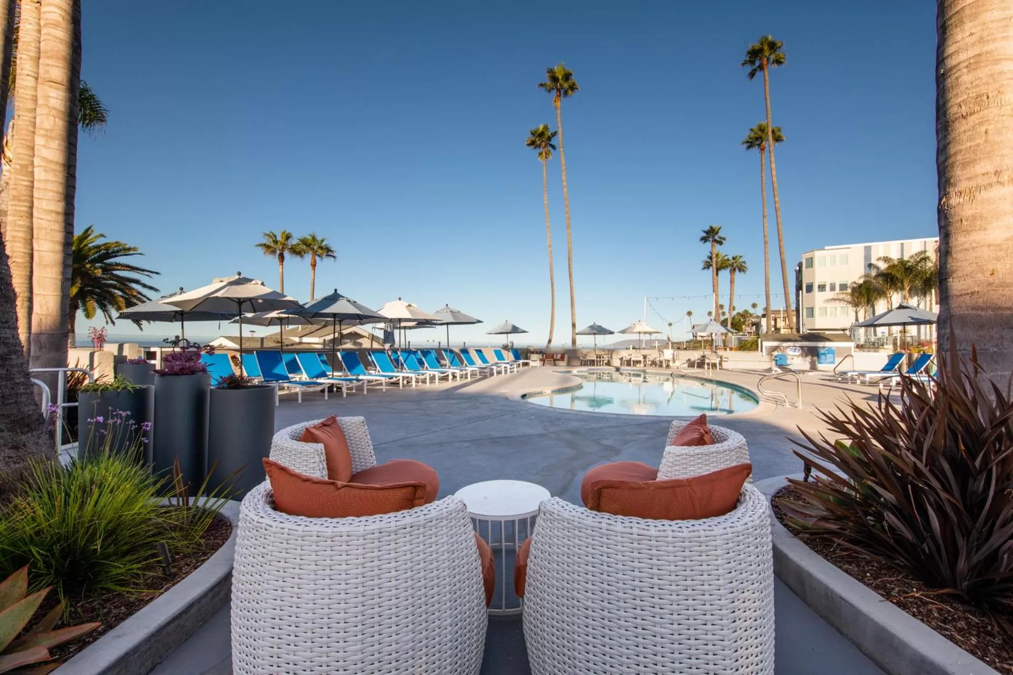 Swimming pool in SeaCrest Oceanfront Hotel