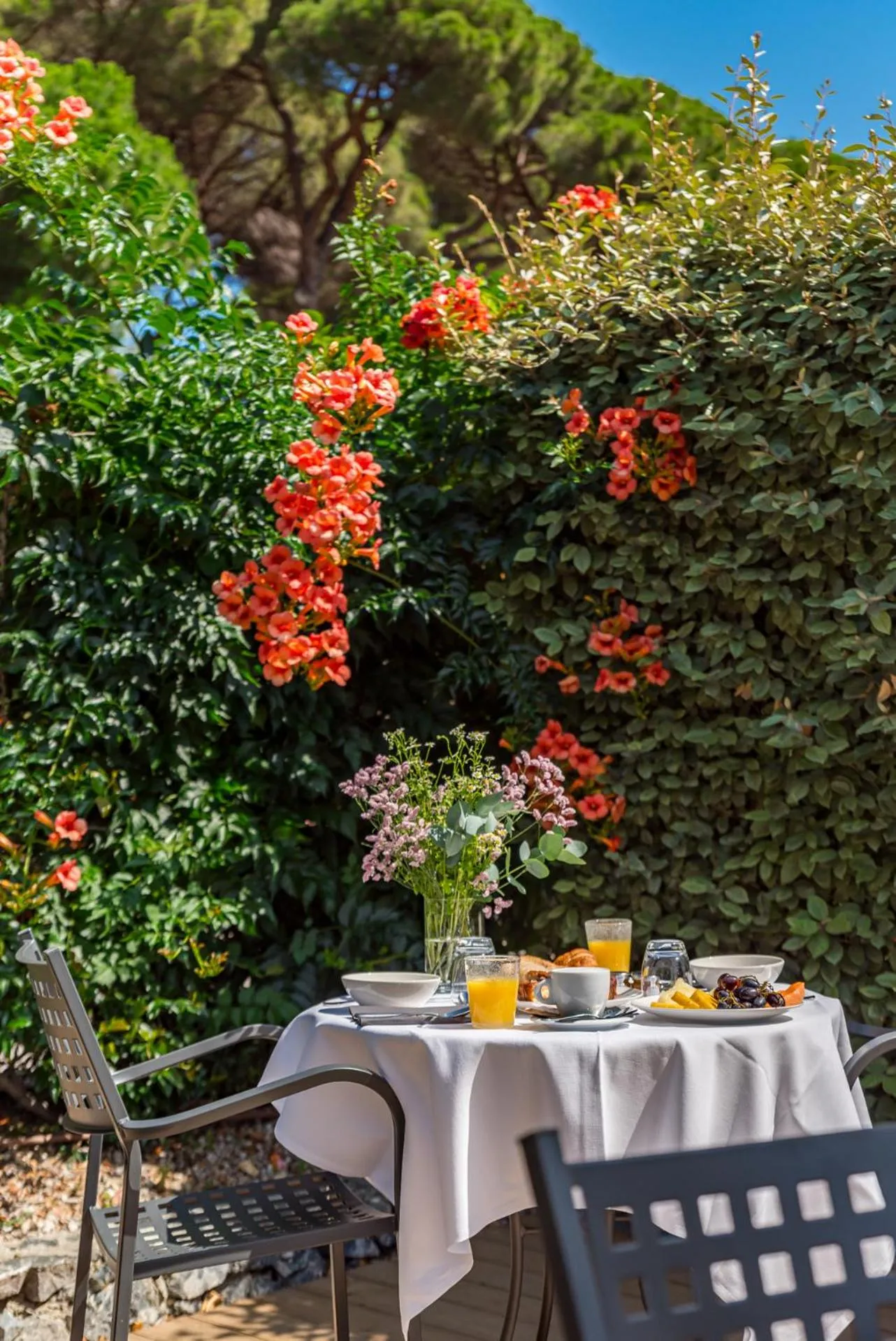 Restaurant/places to eat in Park Hotel Argento