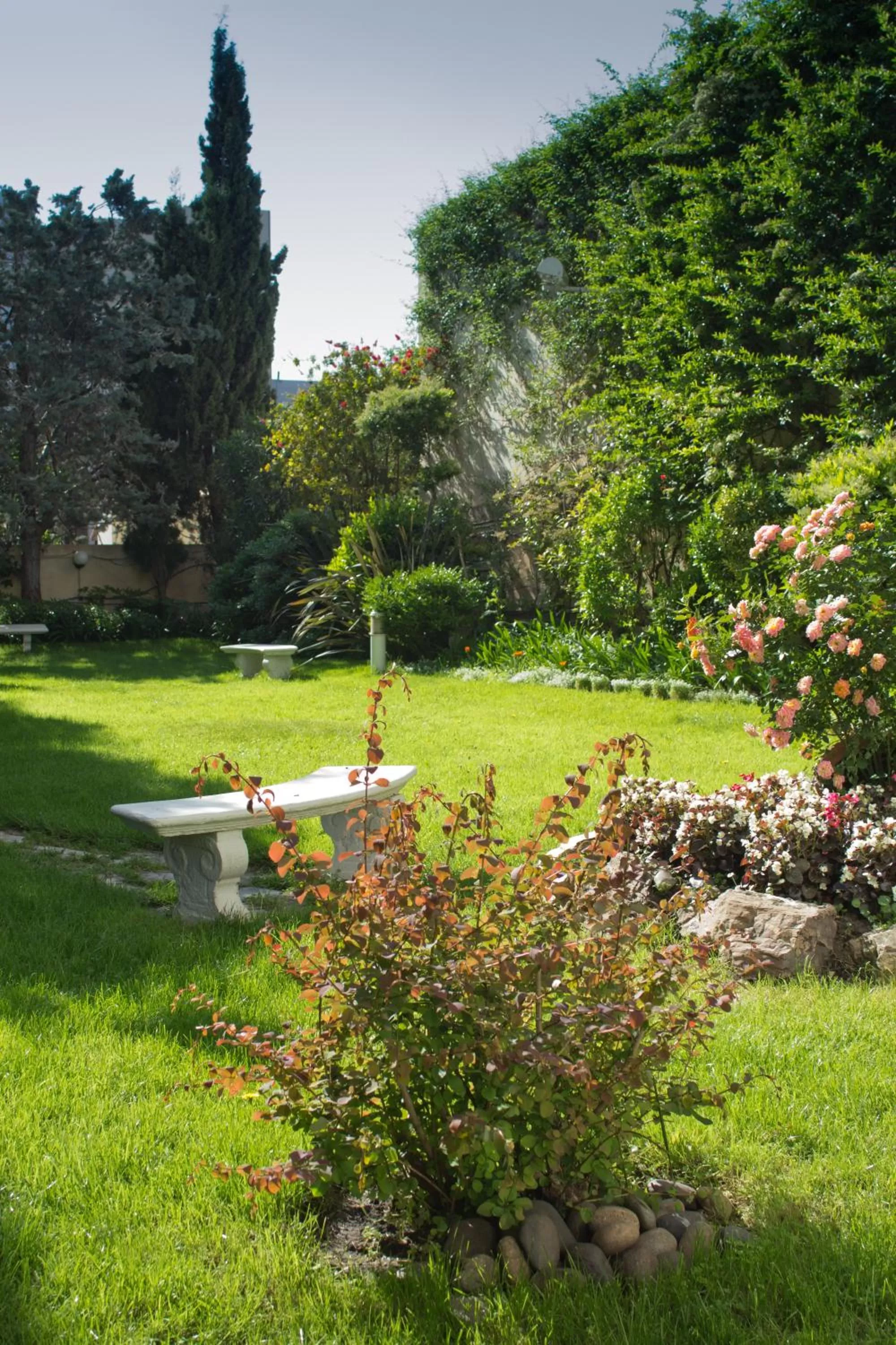 Garden in Grand Brizo Comahue