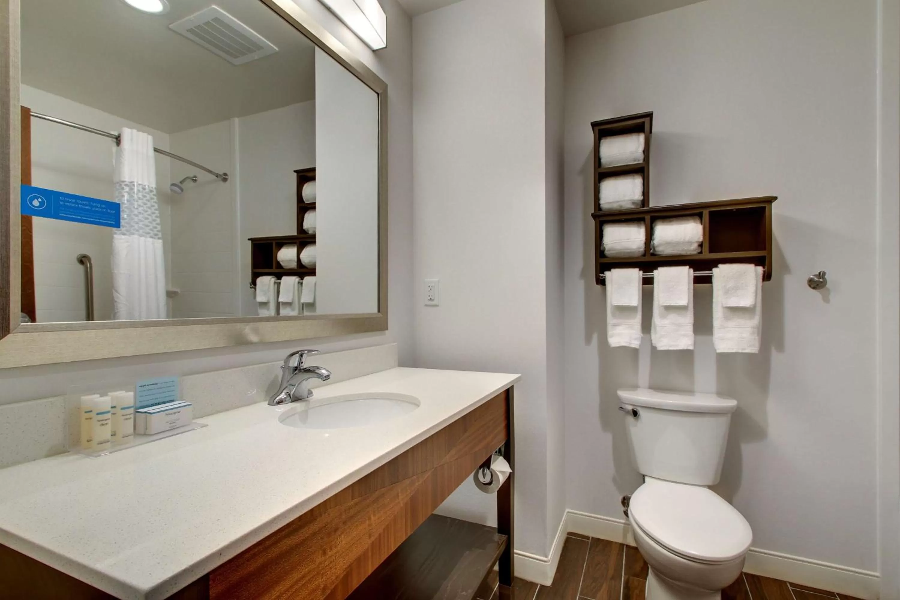 Bathroom in Hampton Inn & Suites Greenville Airport