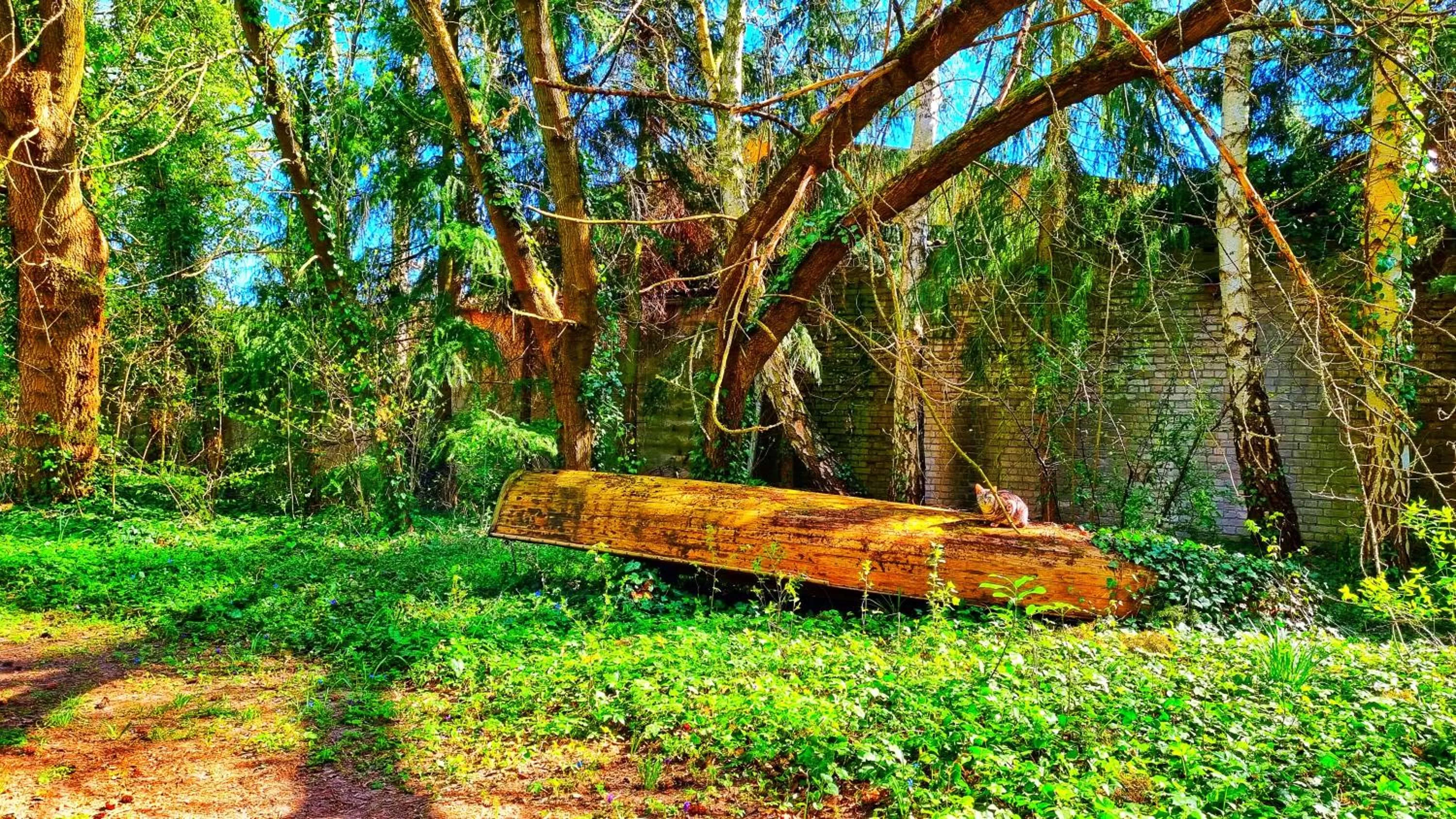 Garden view in Landhaus Kyritz
