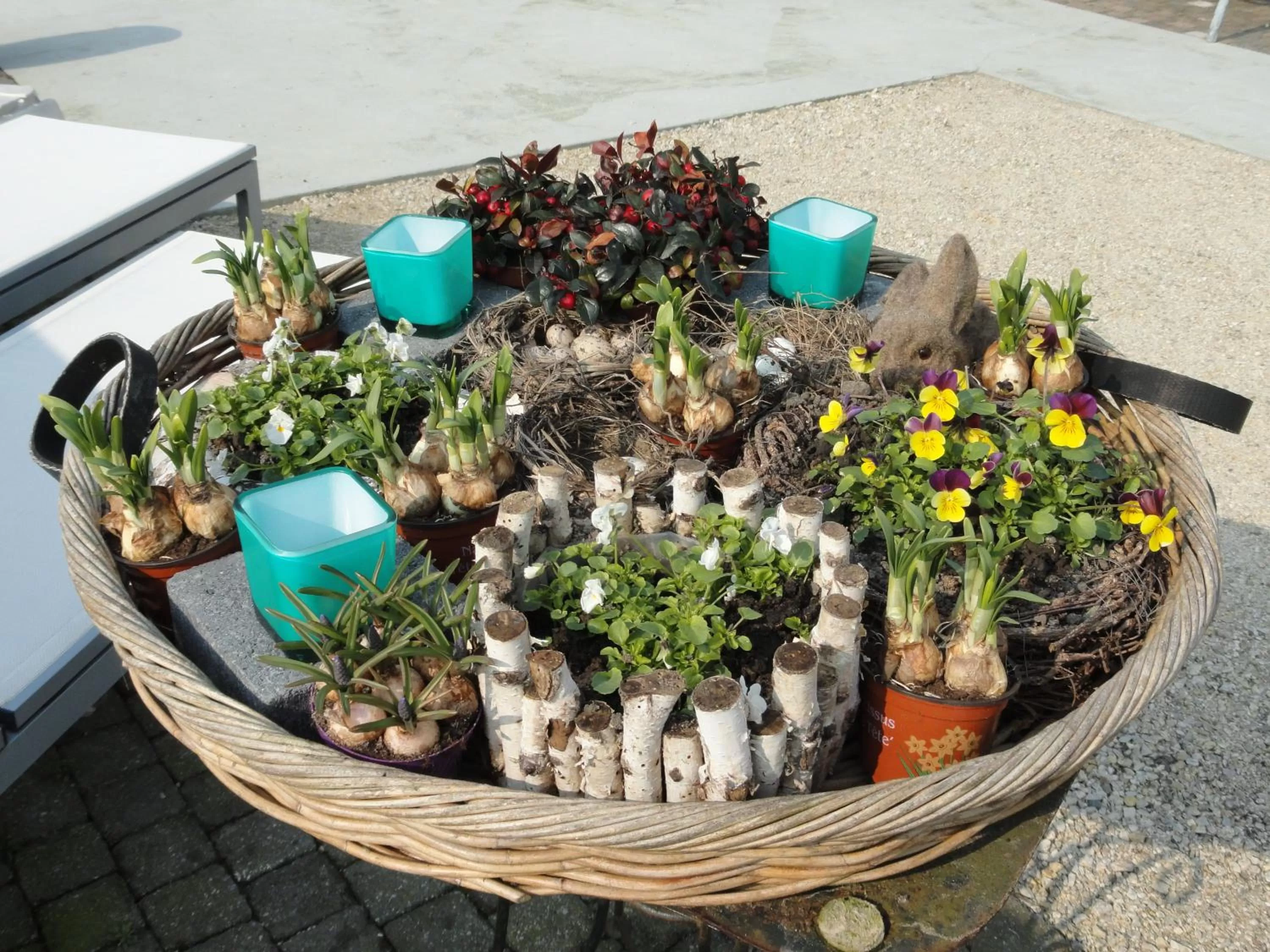 Garden in B&B Altijd Genieten