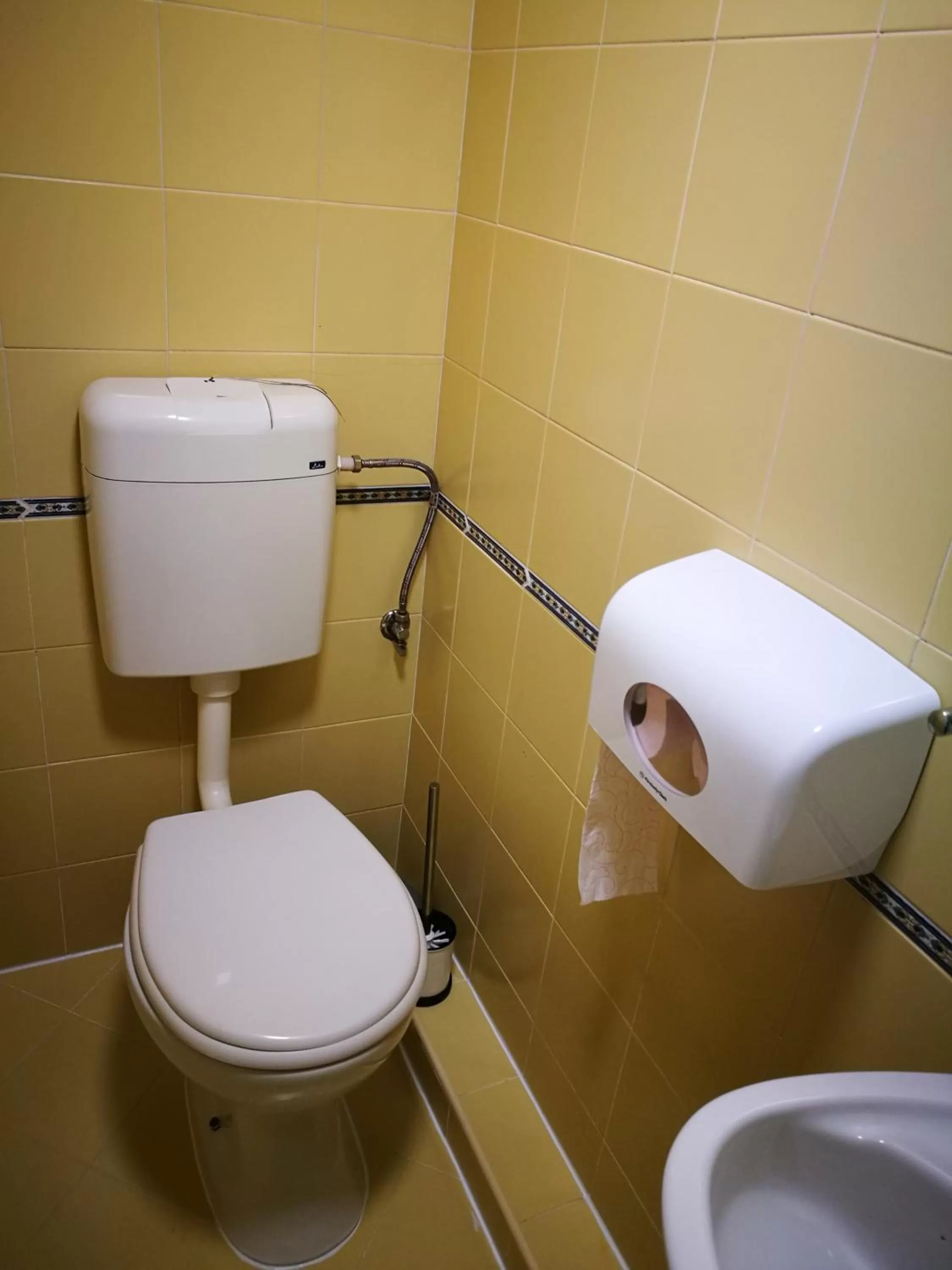 Toilet in Hotel Paradise