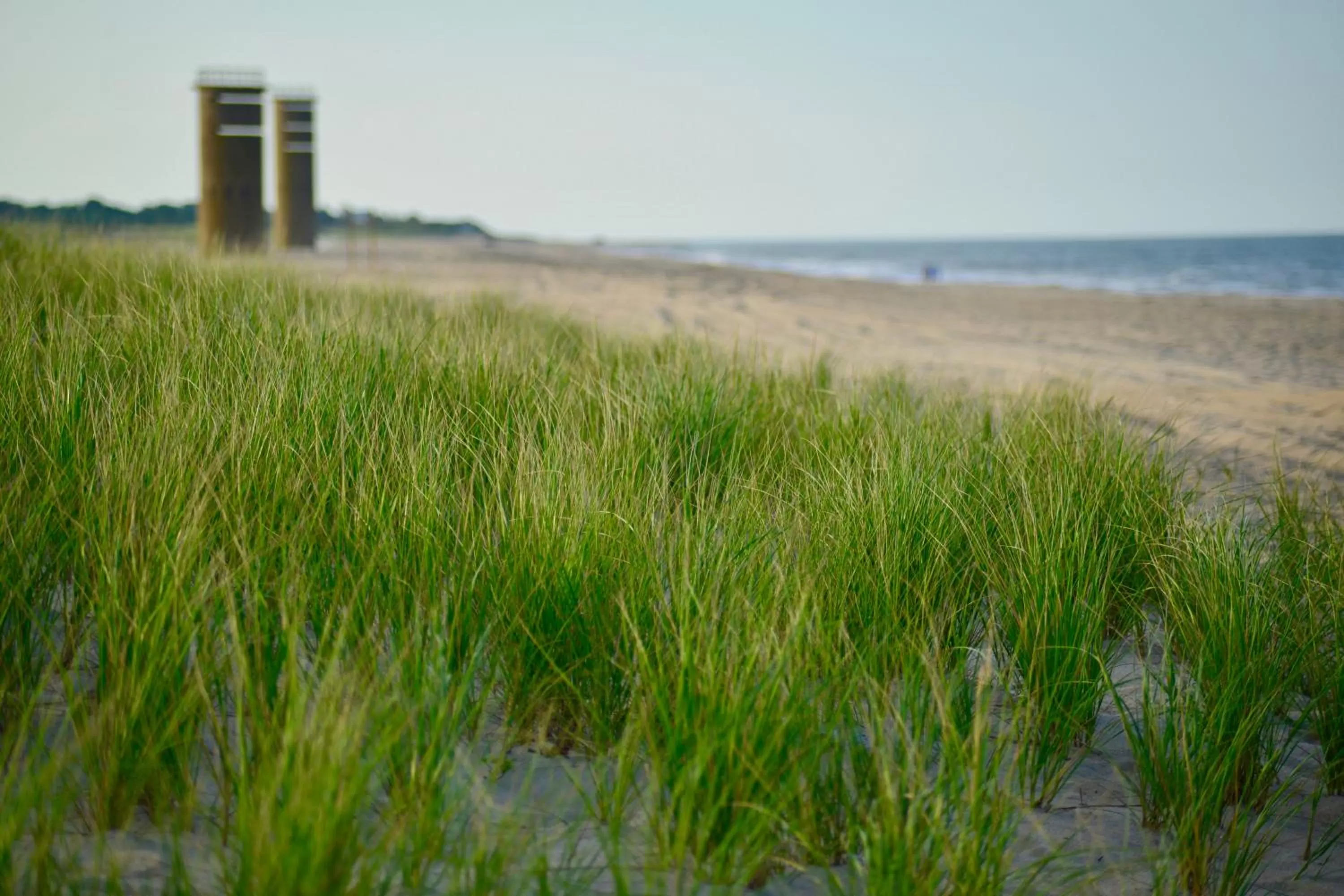 Natural landscape in Atlantic Oceanside Dewey