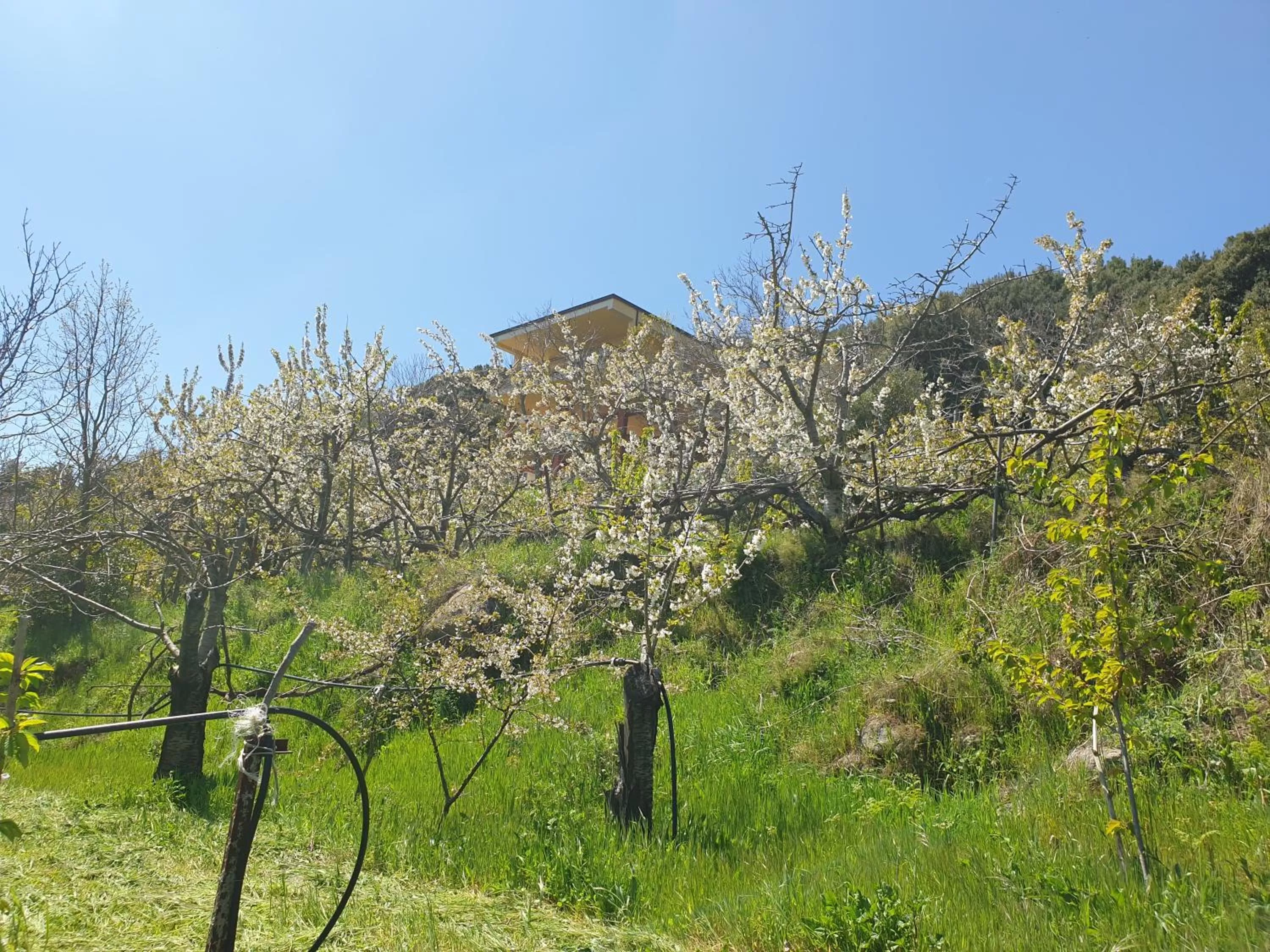 Garden in Oasi del benessere