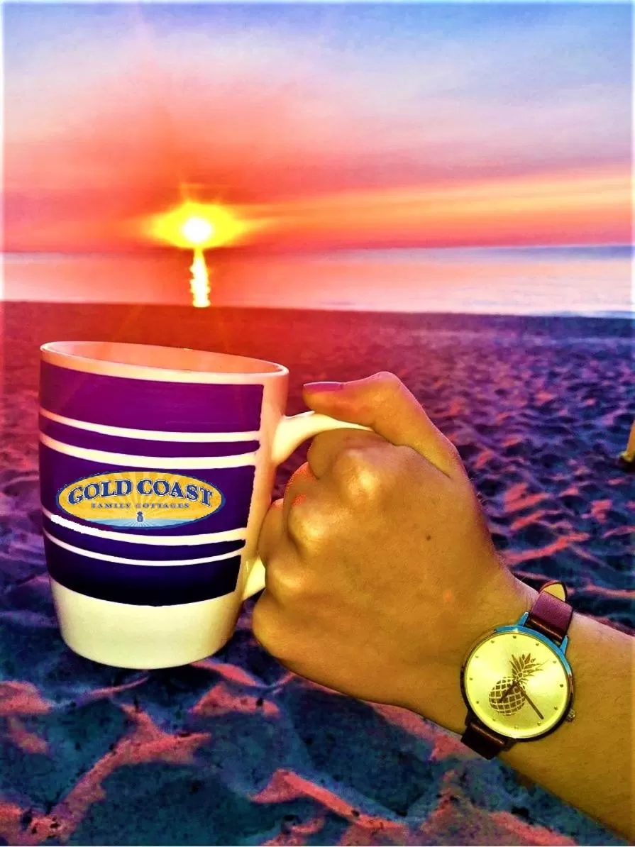 Natural landscape in Gold Coast Family Cottages