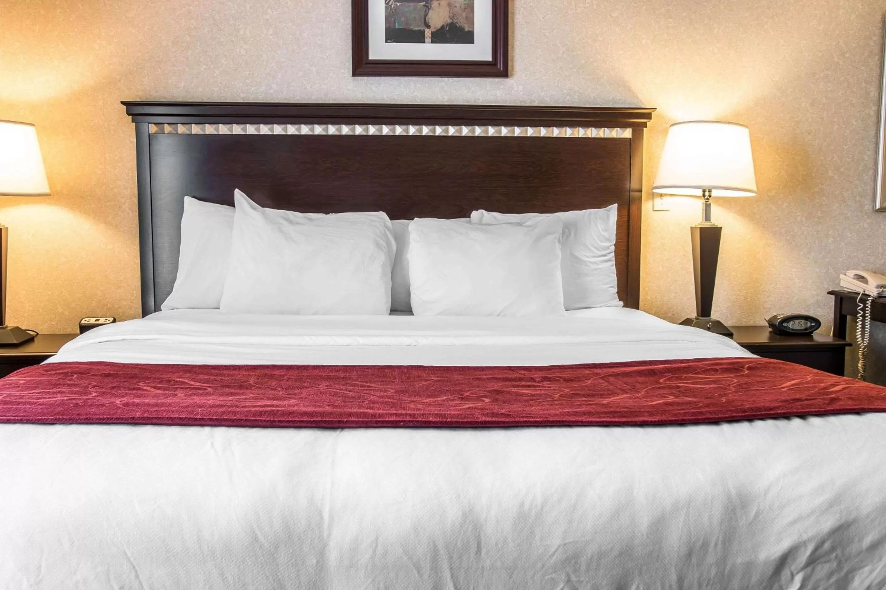 Photo of the whole room, Bed in Comfort Suites Canton - Detroit