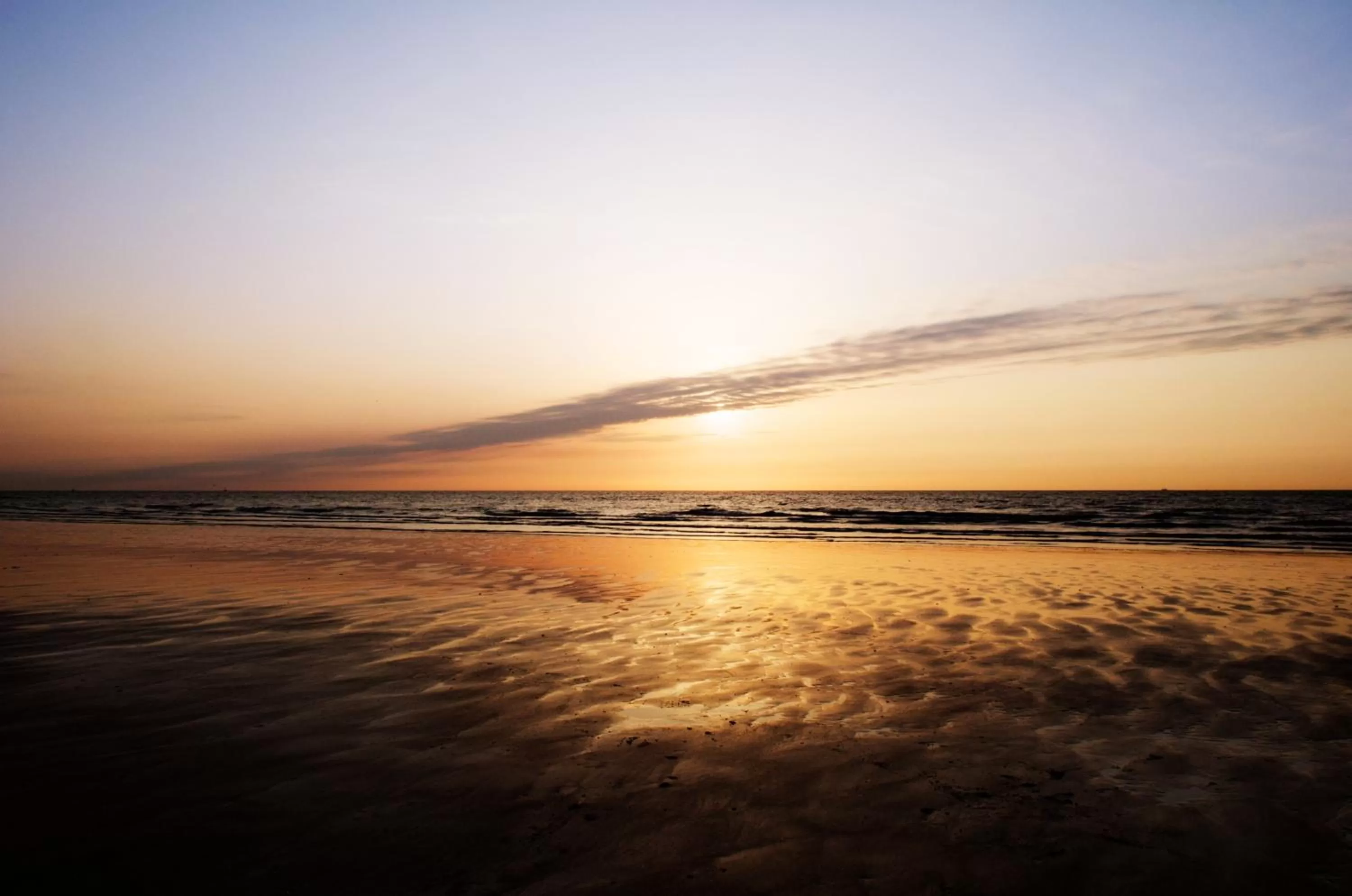 Area and facilities in Hotel De Golf